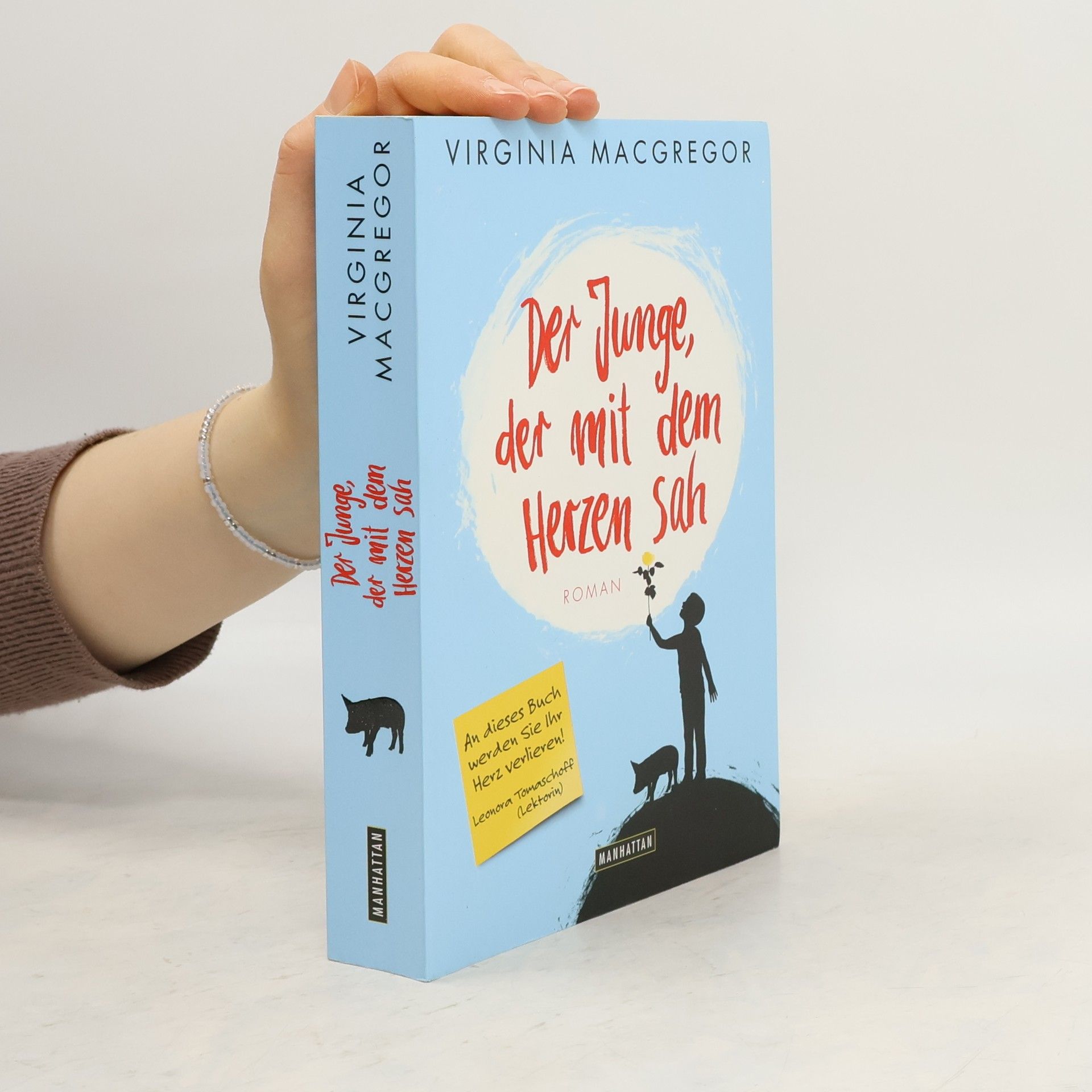 Virginia Macgregor Der Junge, der mit dem Herzen sah