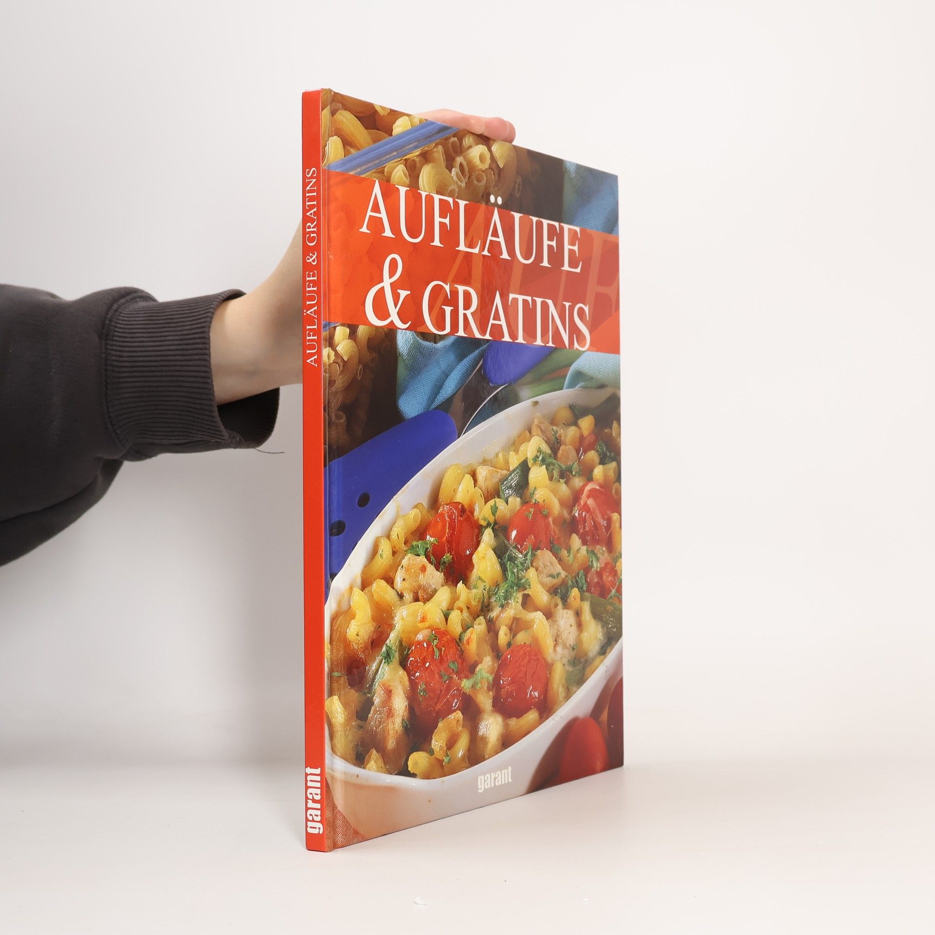 Kolektiv autorů Aufläufe & Gratins