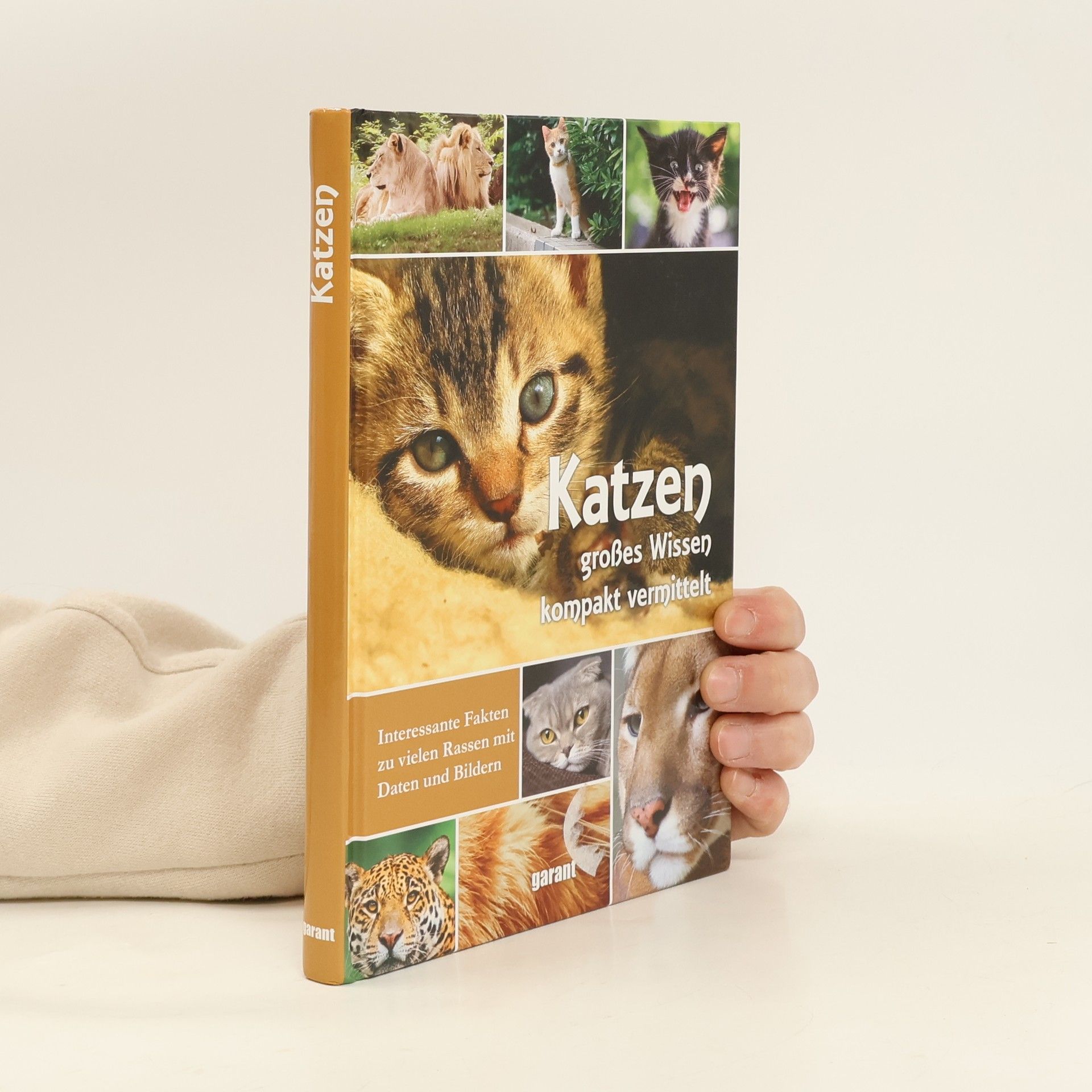 Autorenkollektiv Katzen