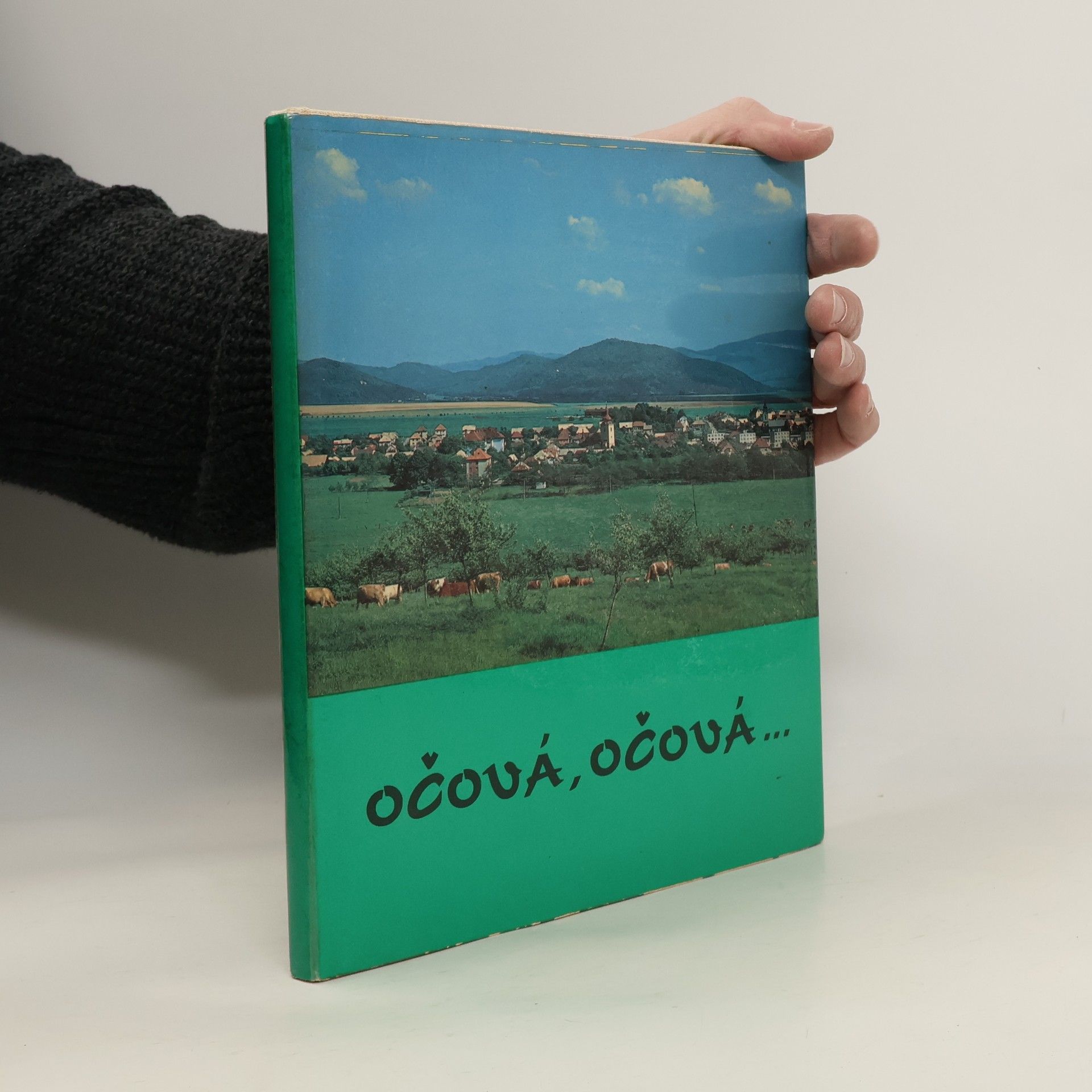 Various authors Očová, Očová...