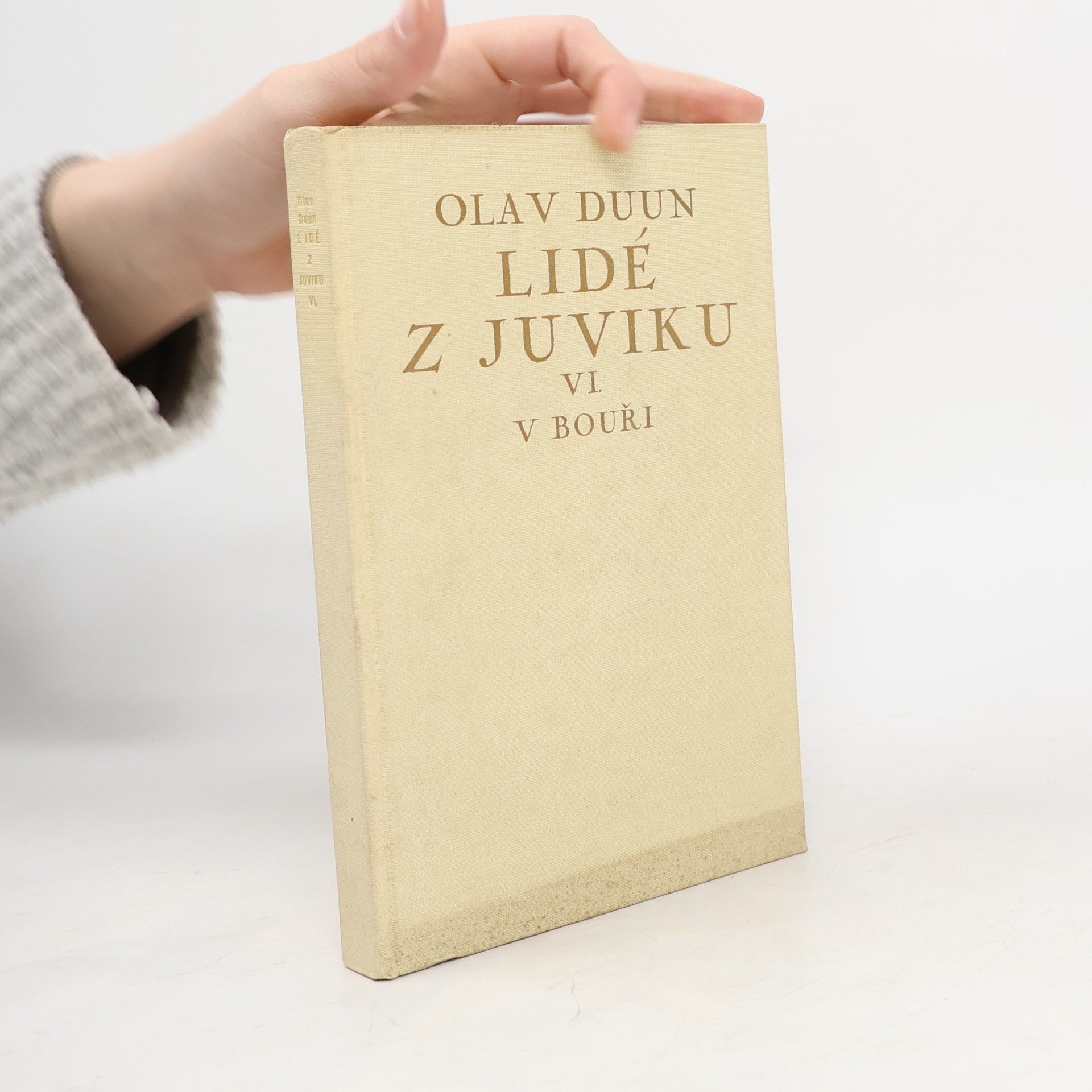 Olav Duun Lidé z Juvku VI. V bouři