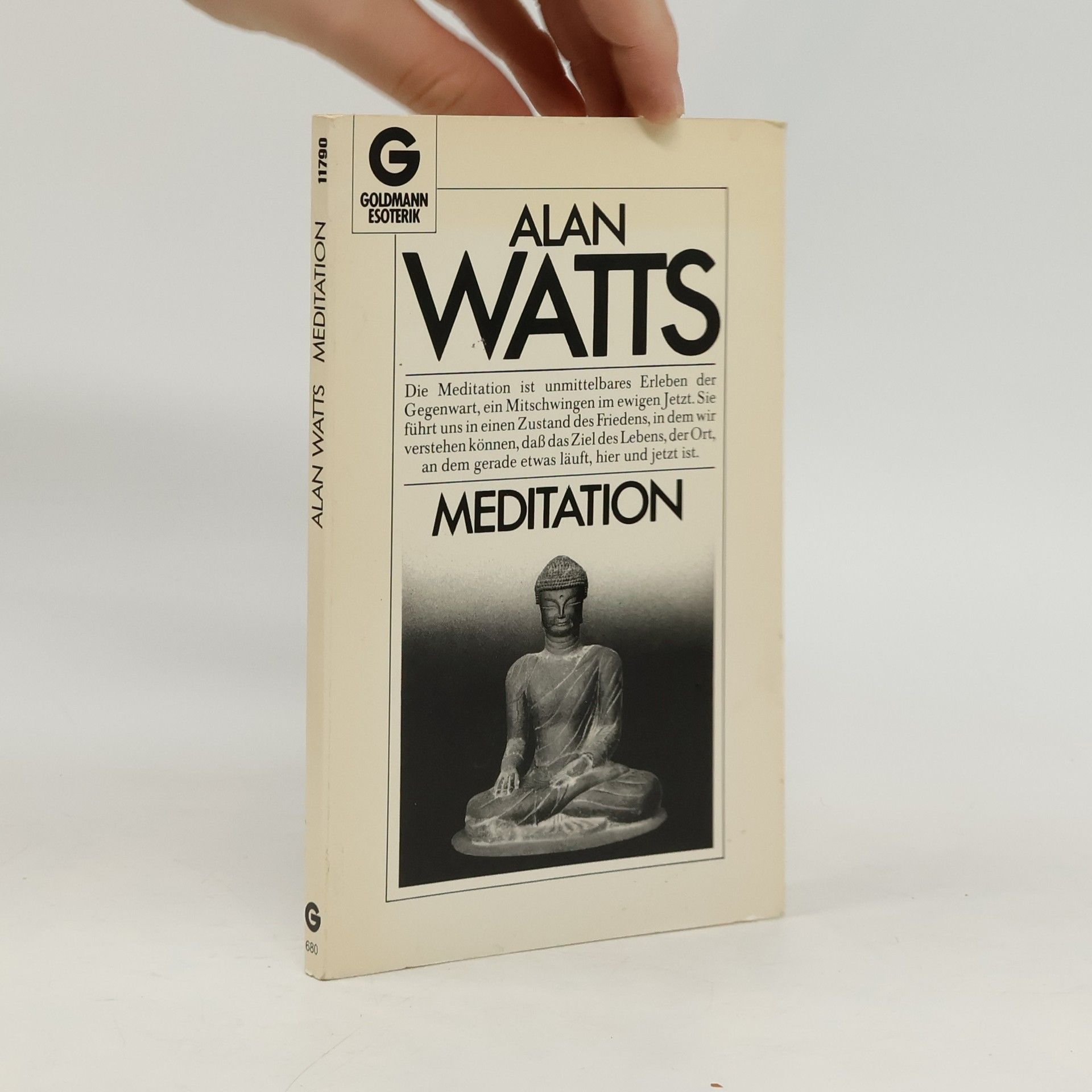 Alan Watts Meditation
