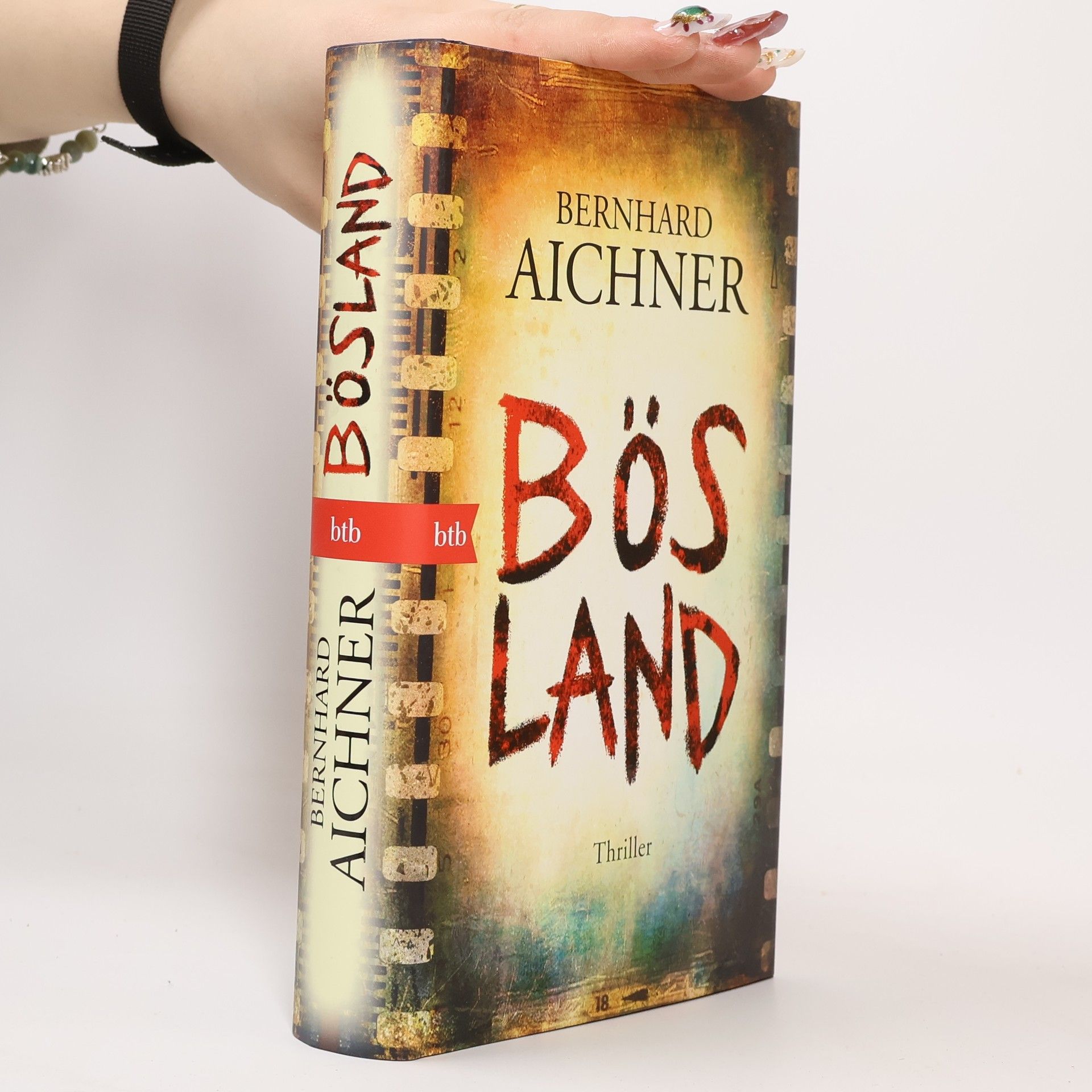 Bernhard Aichner Bösland