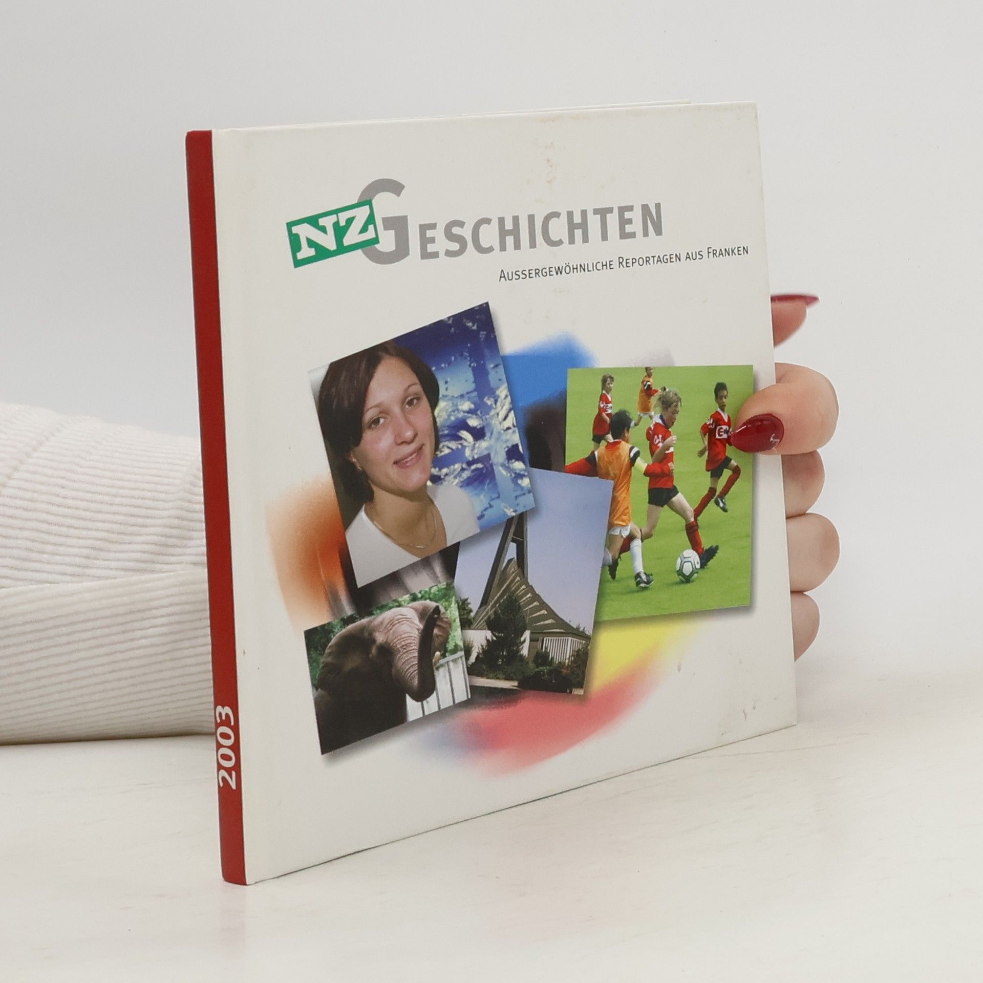 Autorenkollektiv NZ Geschichten