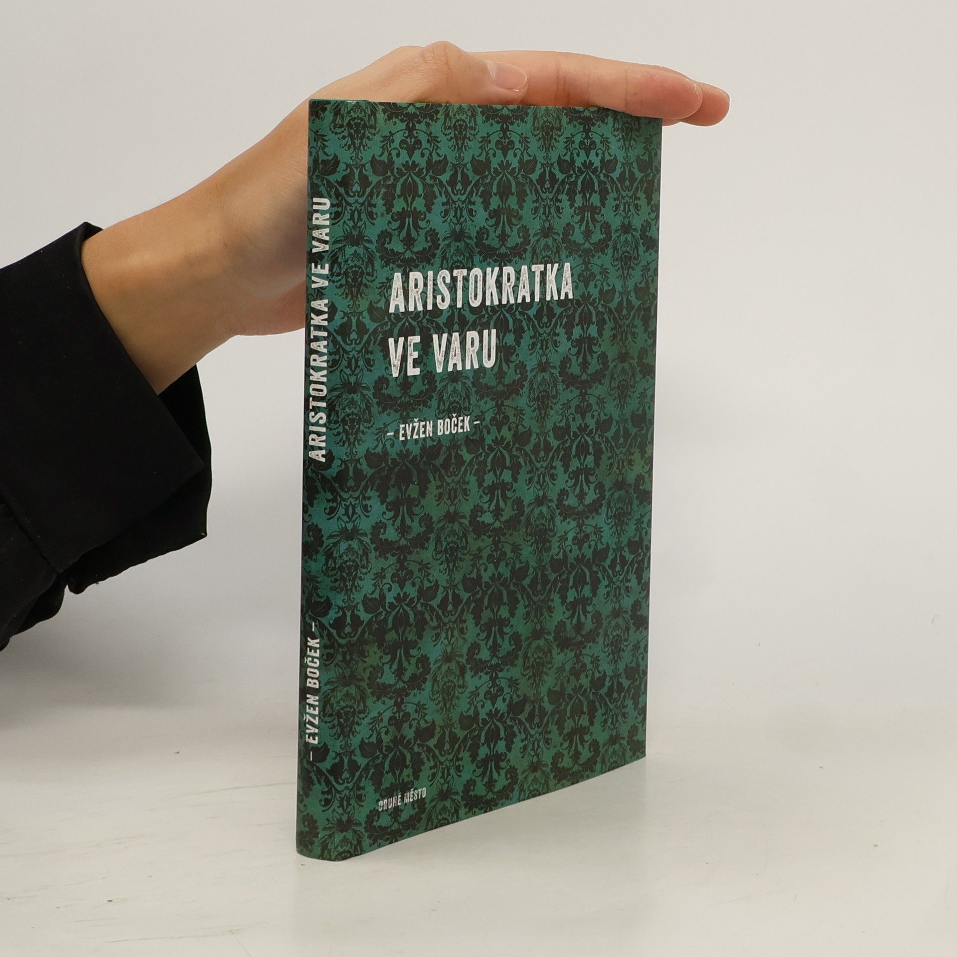 Evžen Boček Aristokratka ve varu