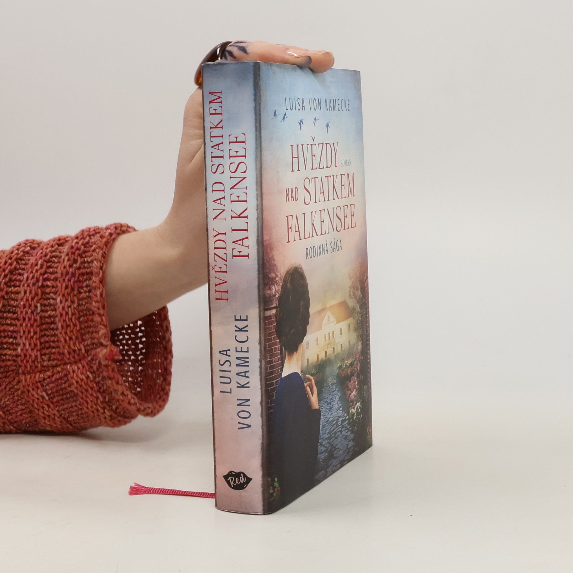 Hvězdy nad statkem Falkensee : západopruská sága