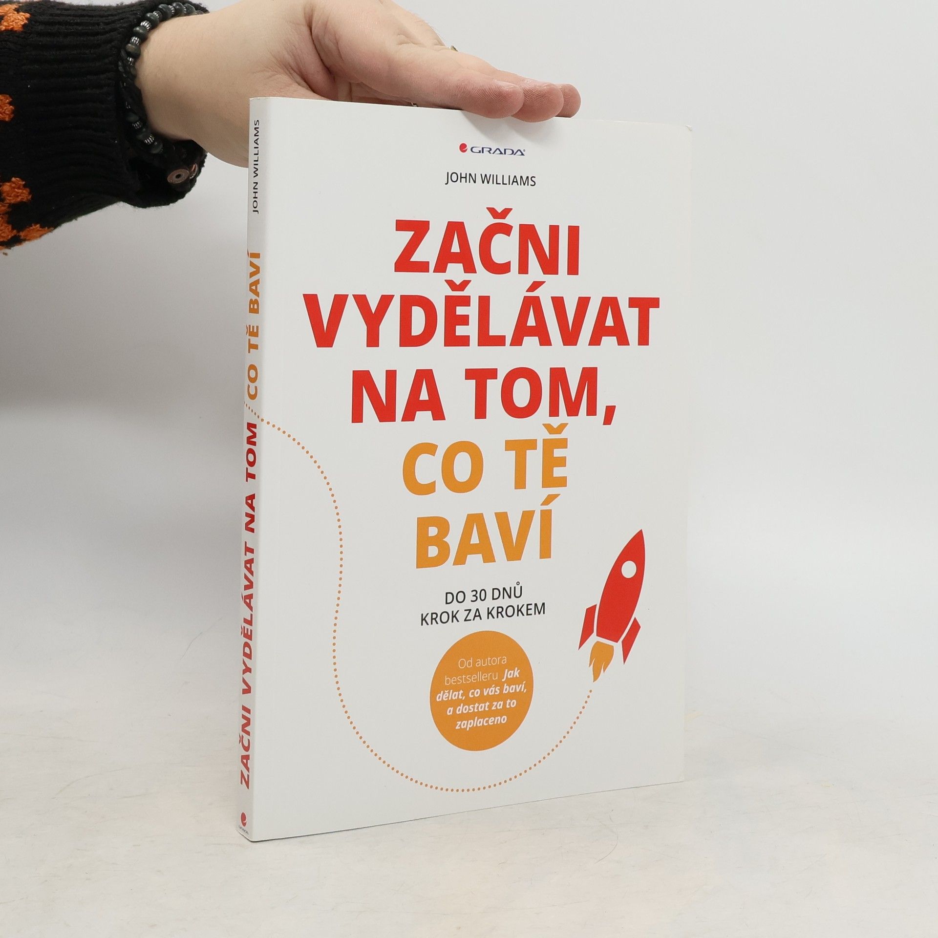 John Williams Začni vydělávat na tom, co tě baví : Do 30 dnů krok za krokem