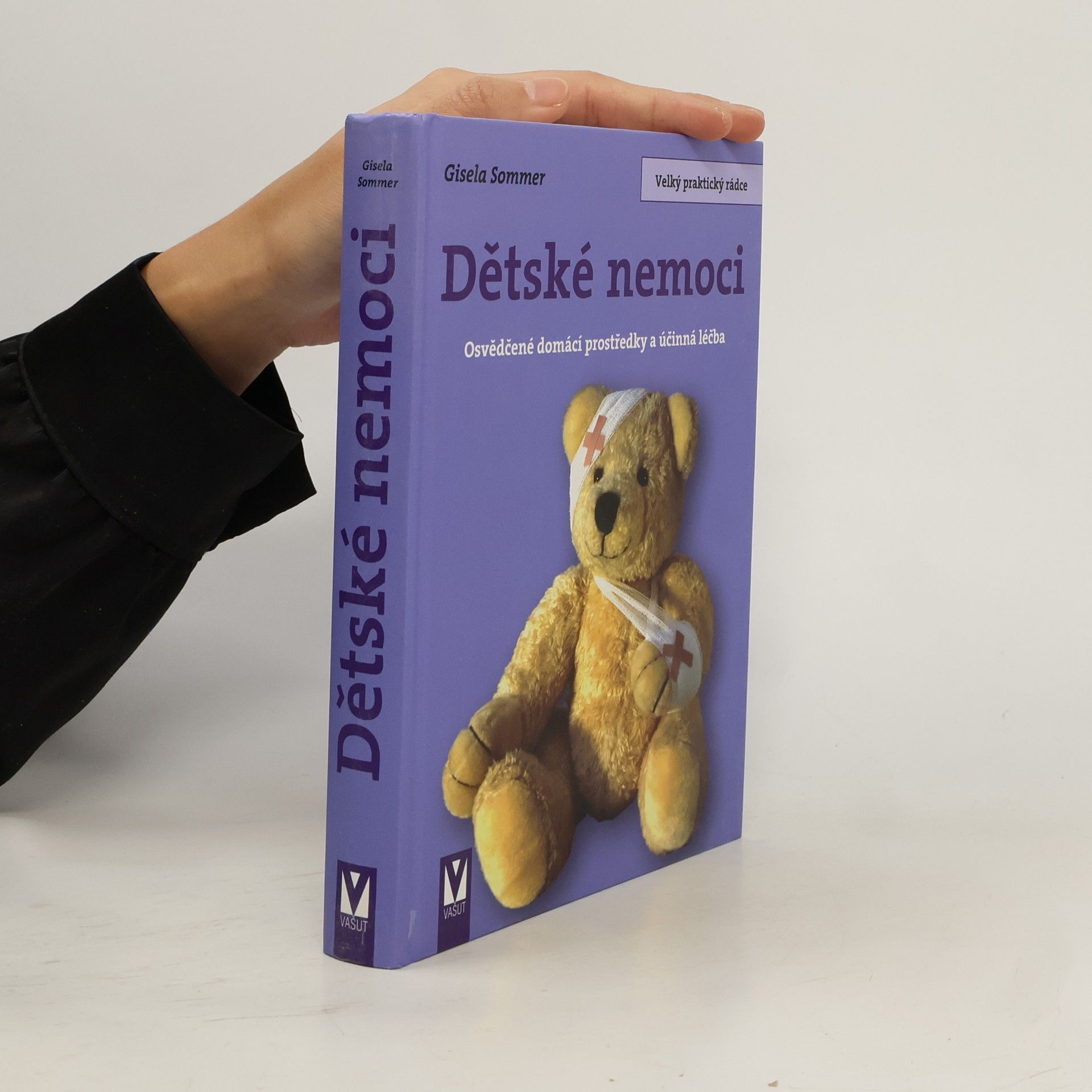 Gisela Sommer Dětské nemoci. Osvědčené domácí prostředky a účinná léčba