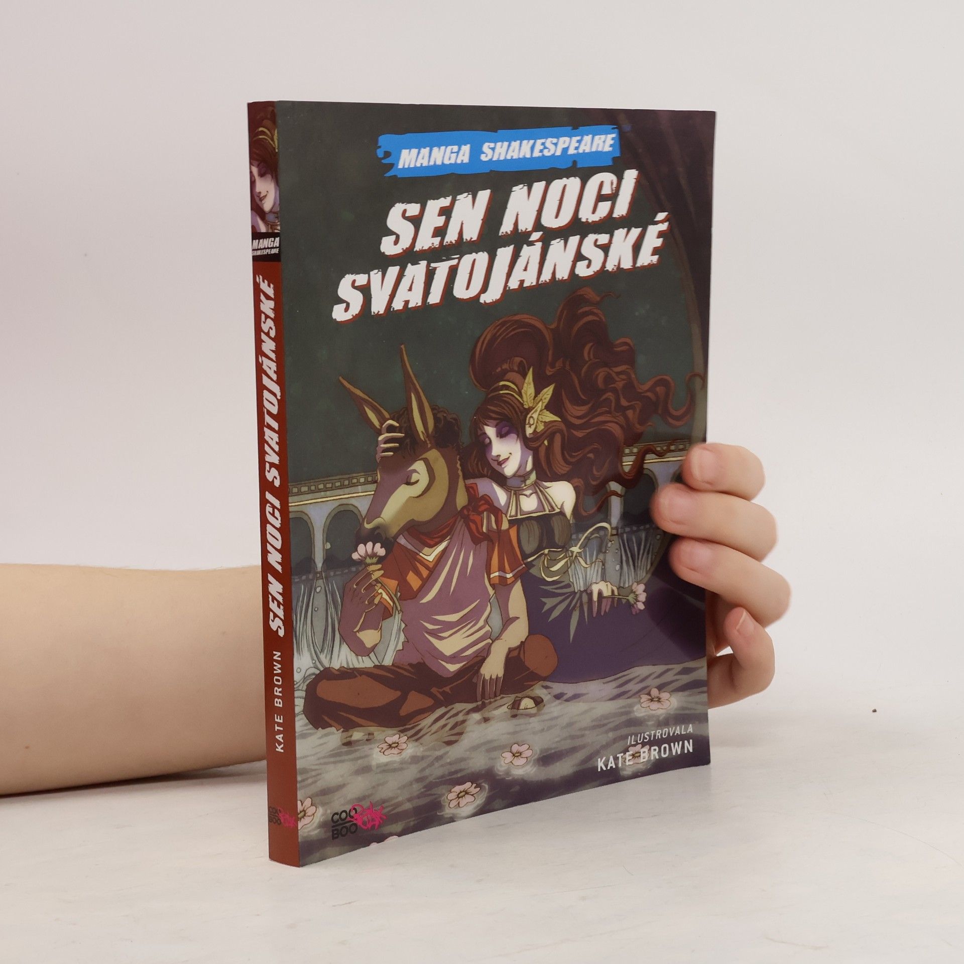 Richard Appignanesi Sen noci svatojánské (komiks)