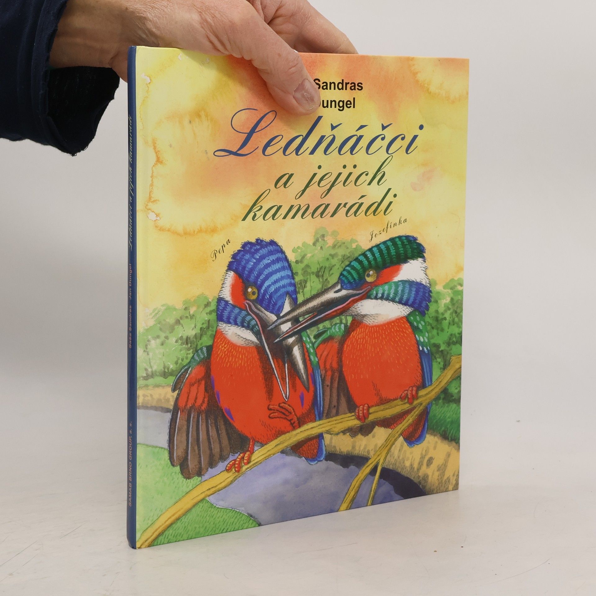 Ledňáčci a jejich kamarádi