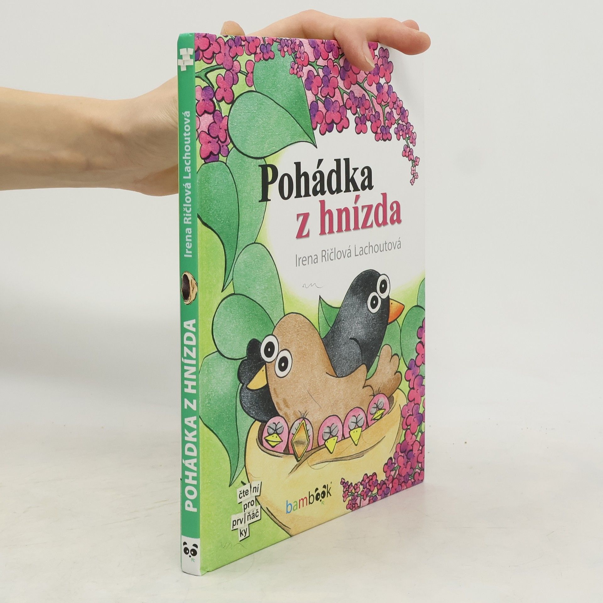 Irena Lachoutová Ričlová Pohádka z hnízda