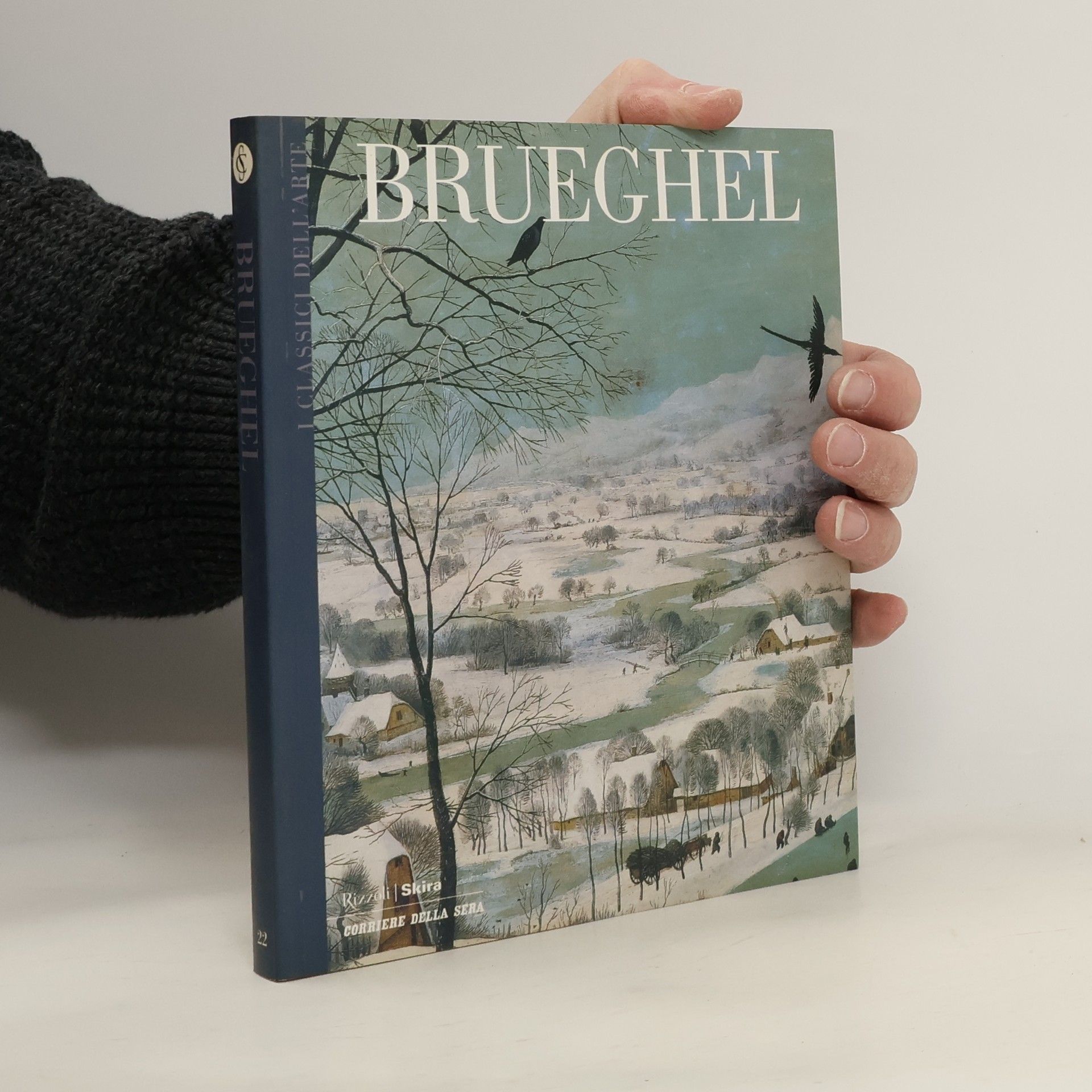 Kolektív autorov Brueghel