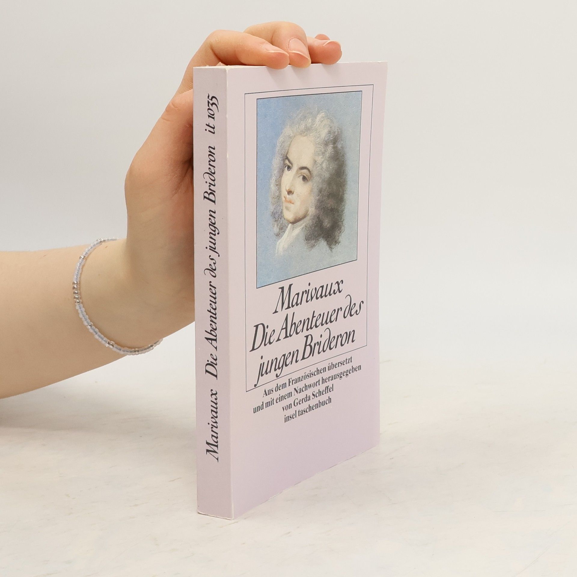 Die Abenteuer des jungen Brideron