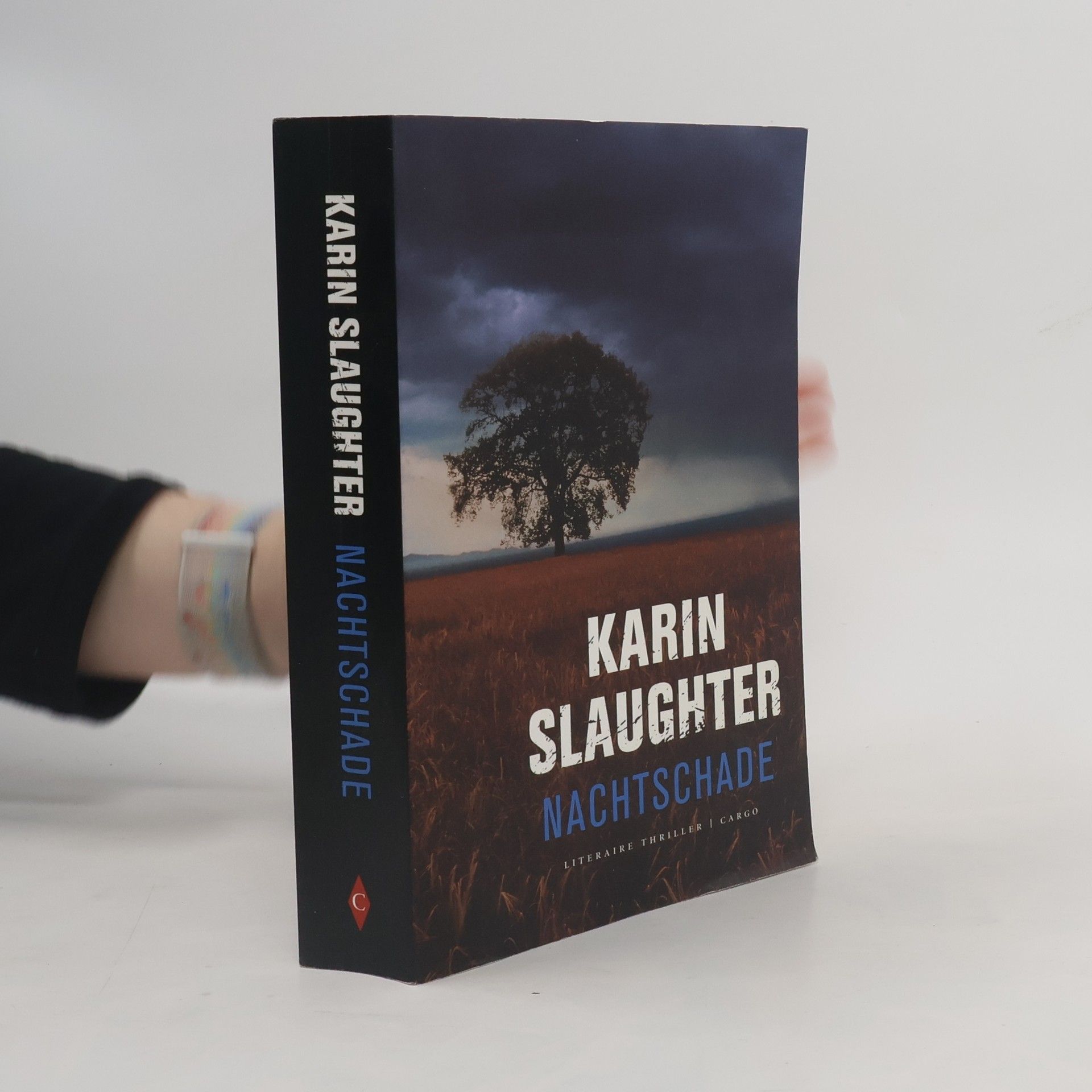 Karin Slaughter Nachtschade