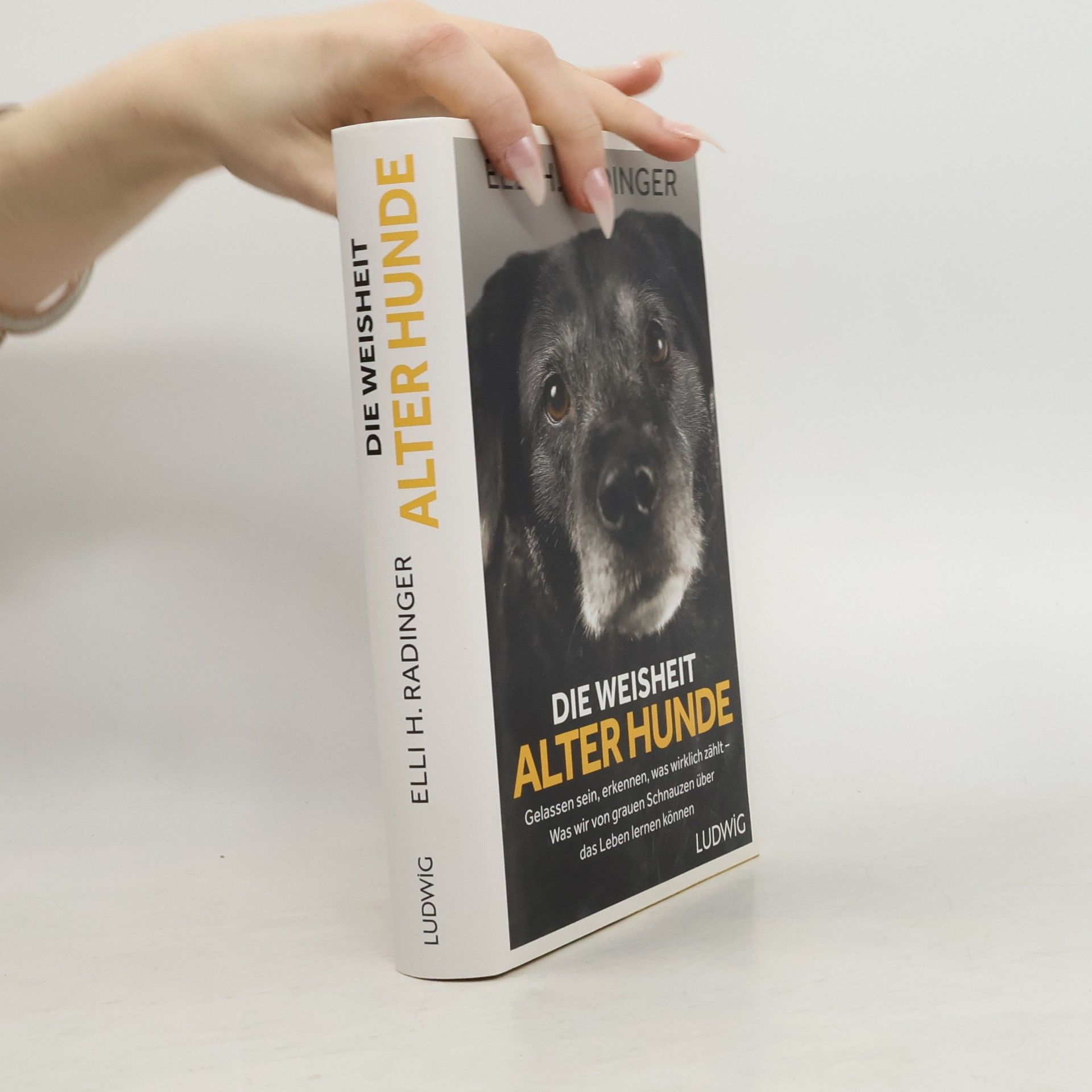 Elli H. Radinger Die Weisheit alter Hunde