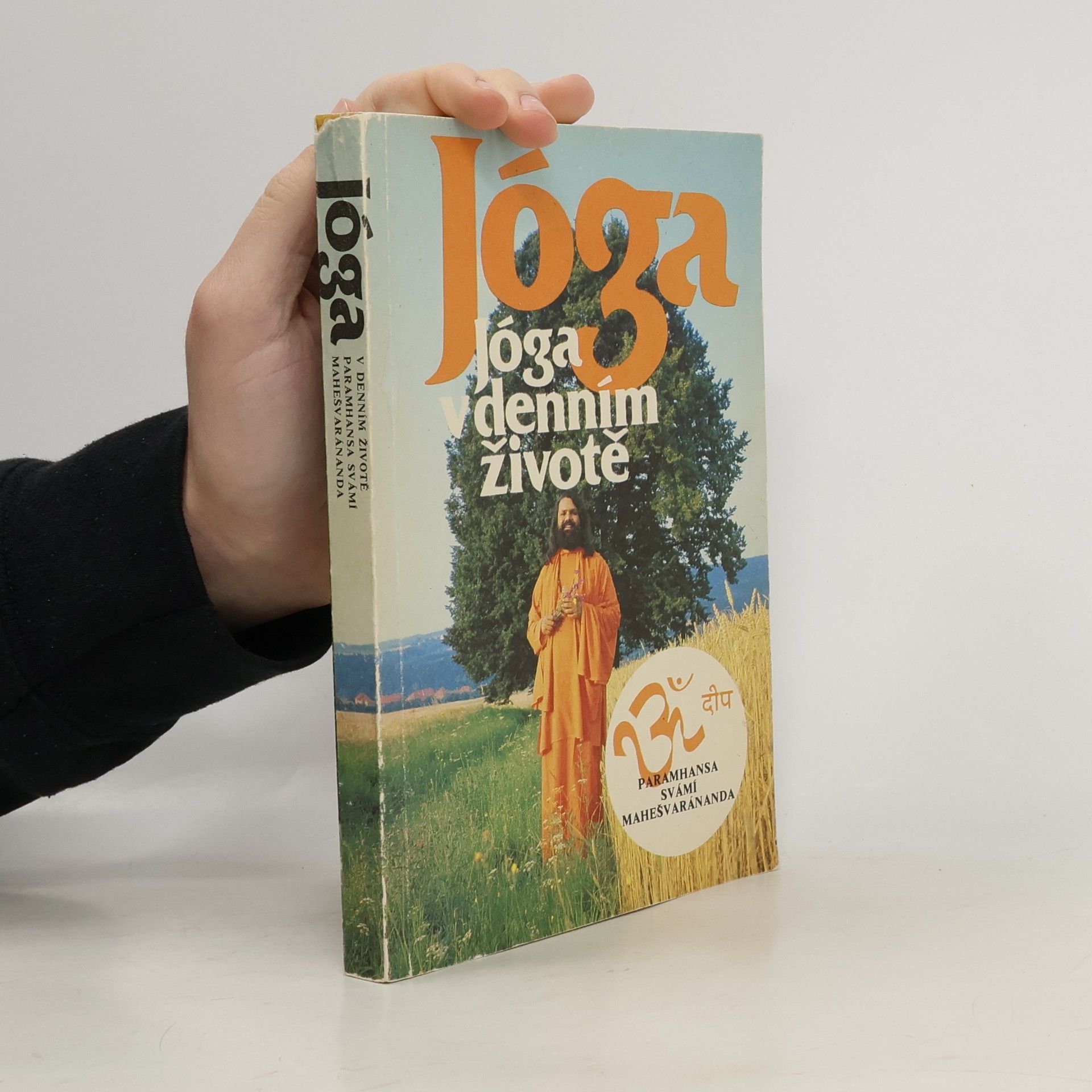 Paramhans Swami Maheshwarananda Jóga v denním životě