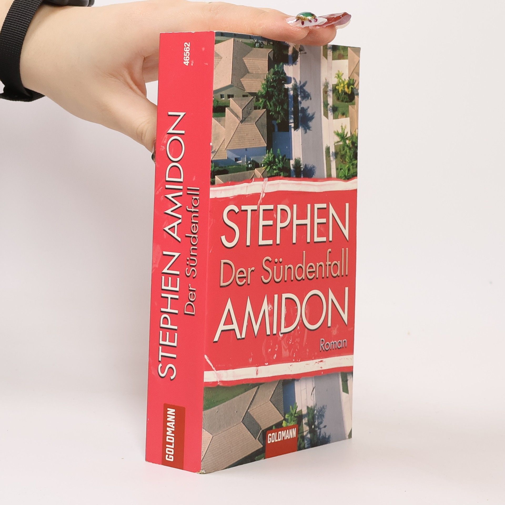 Stephen Amidon Der Sündenfall