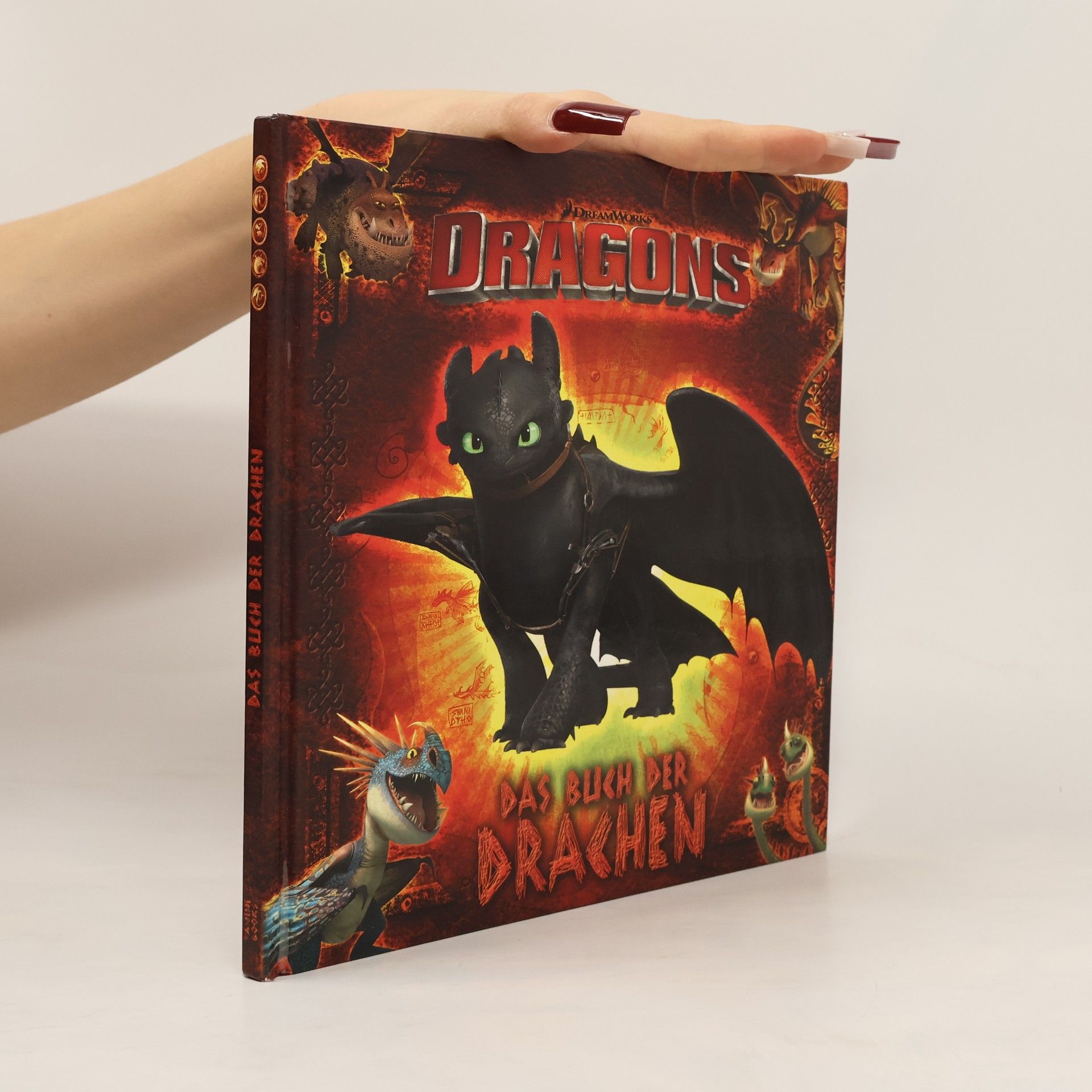 Maggie Testa Dragons - das Buch der Drachen