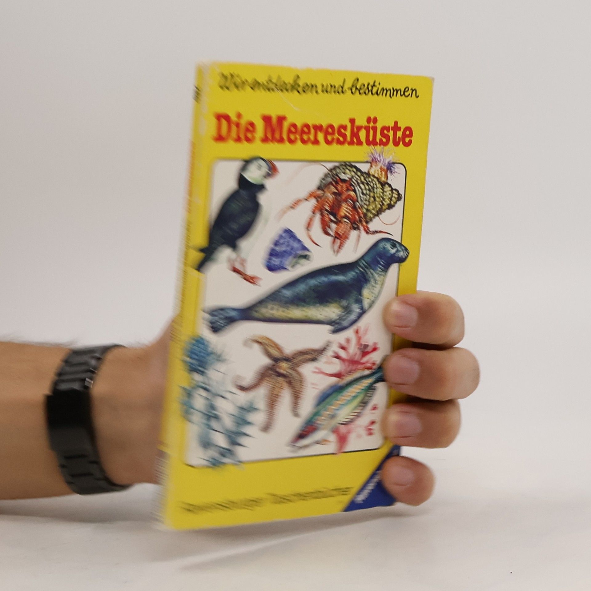 Wir entdecken und Bestimmen: Die Meeresküste