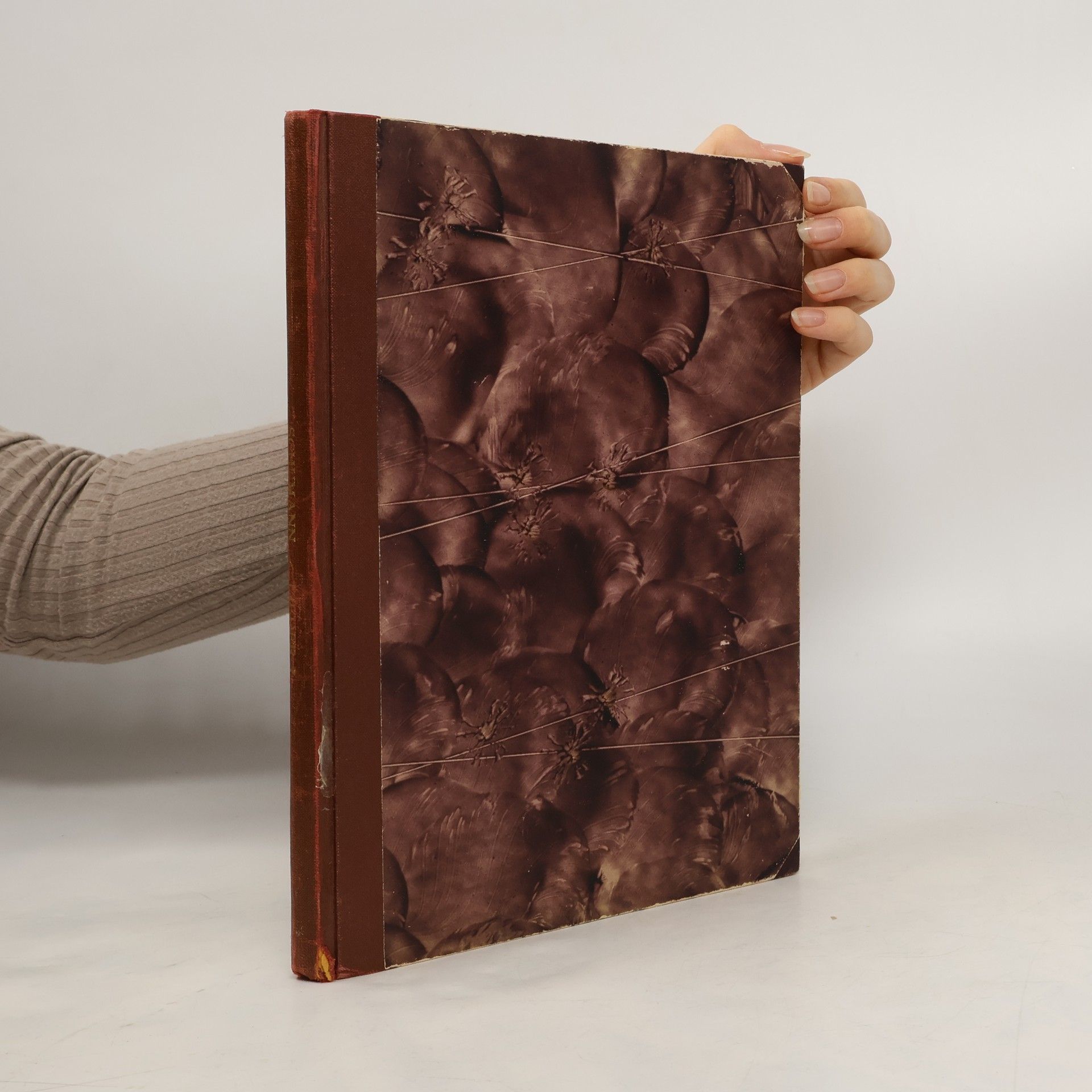 Robert Schumann Sämtliche Lieder