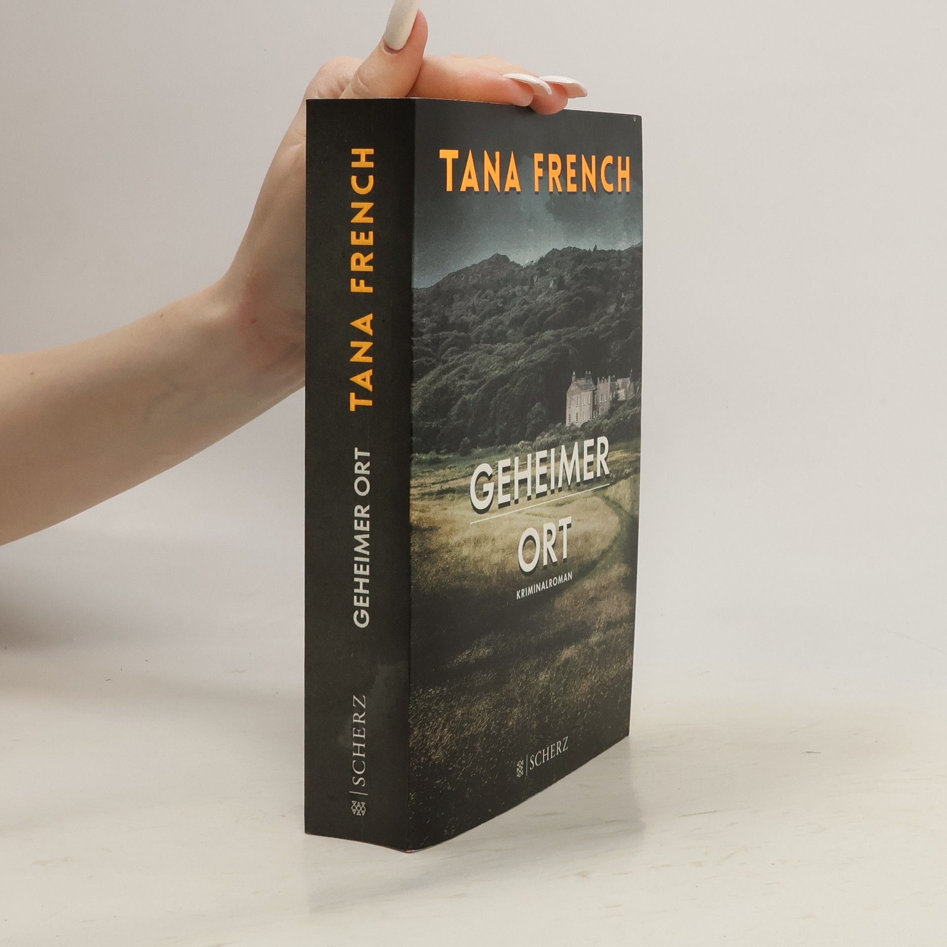 Tana French Geheimer Ort