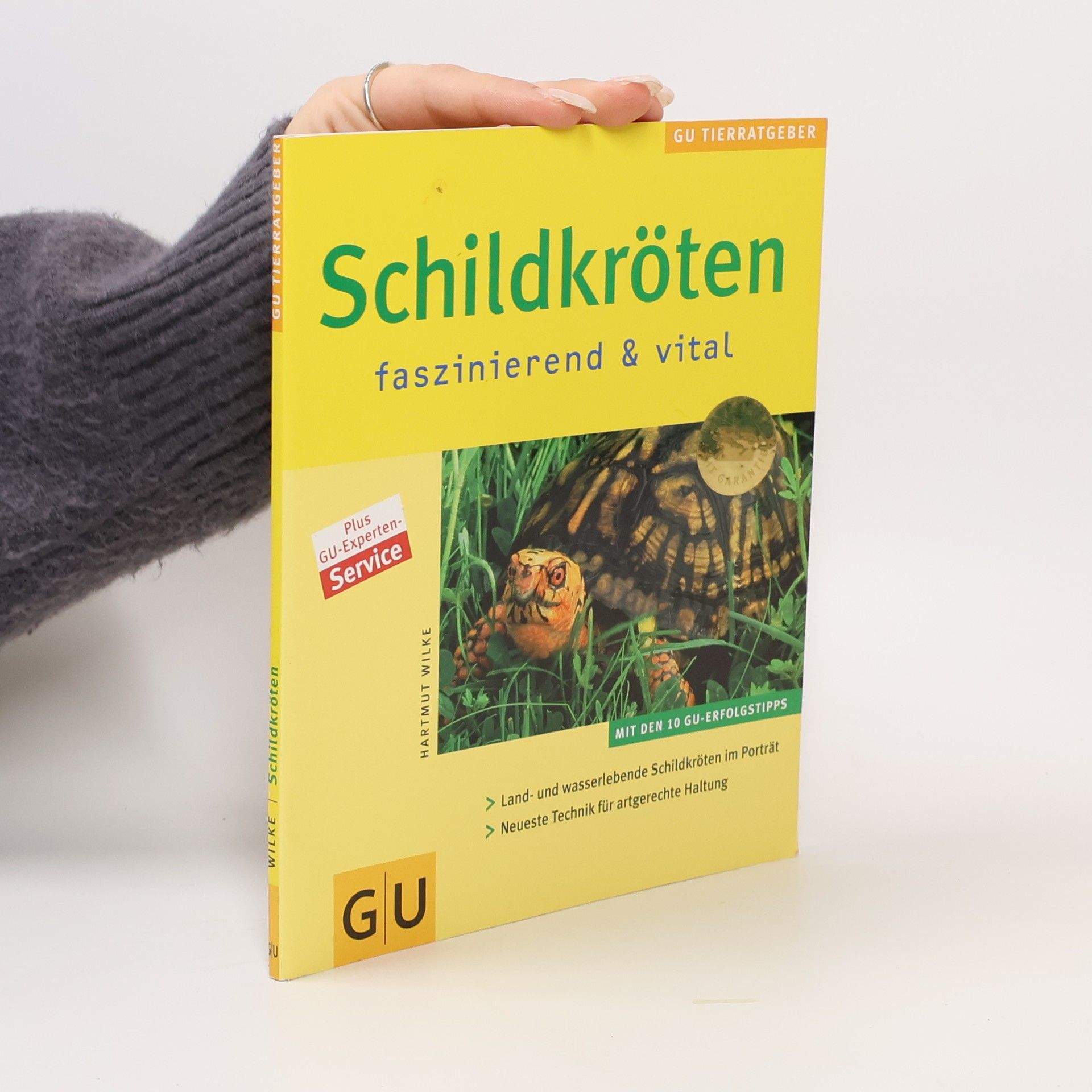 Hartmut Wilke Schildkröten