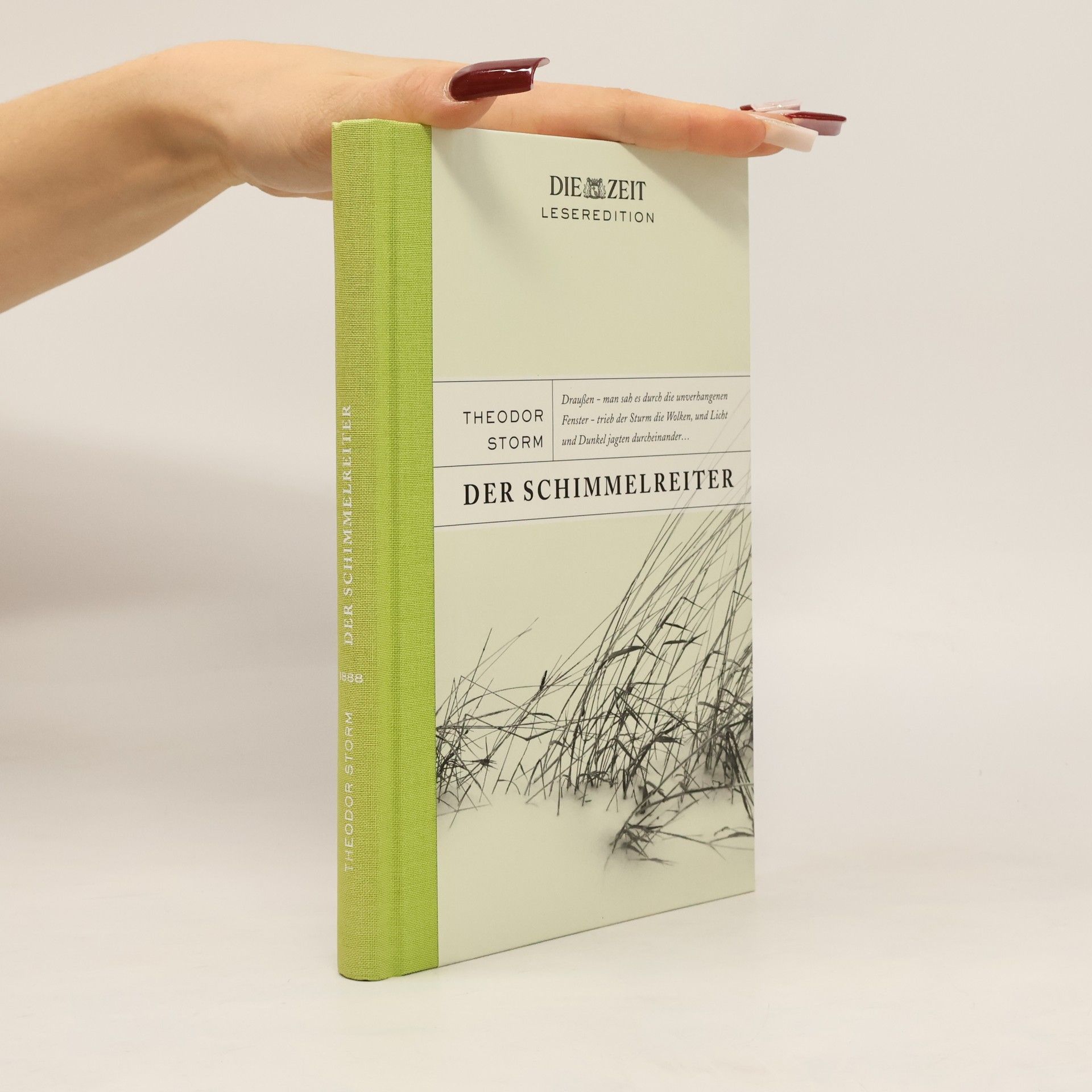 Theodor Storm Der Schimmelreiter