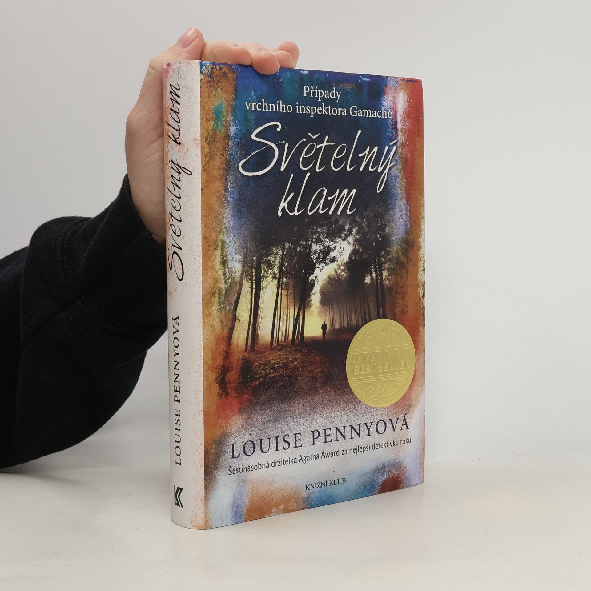 Louise Penny Světelný klam