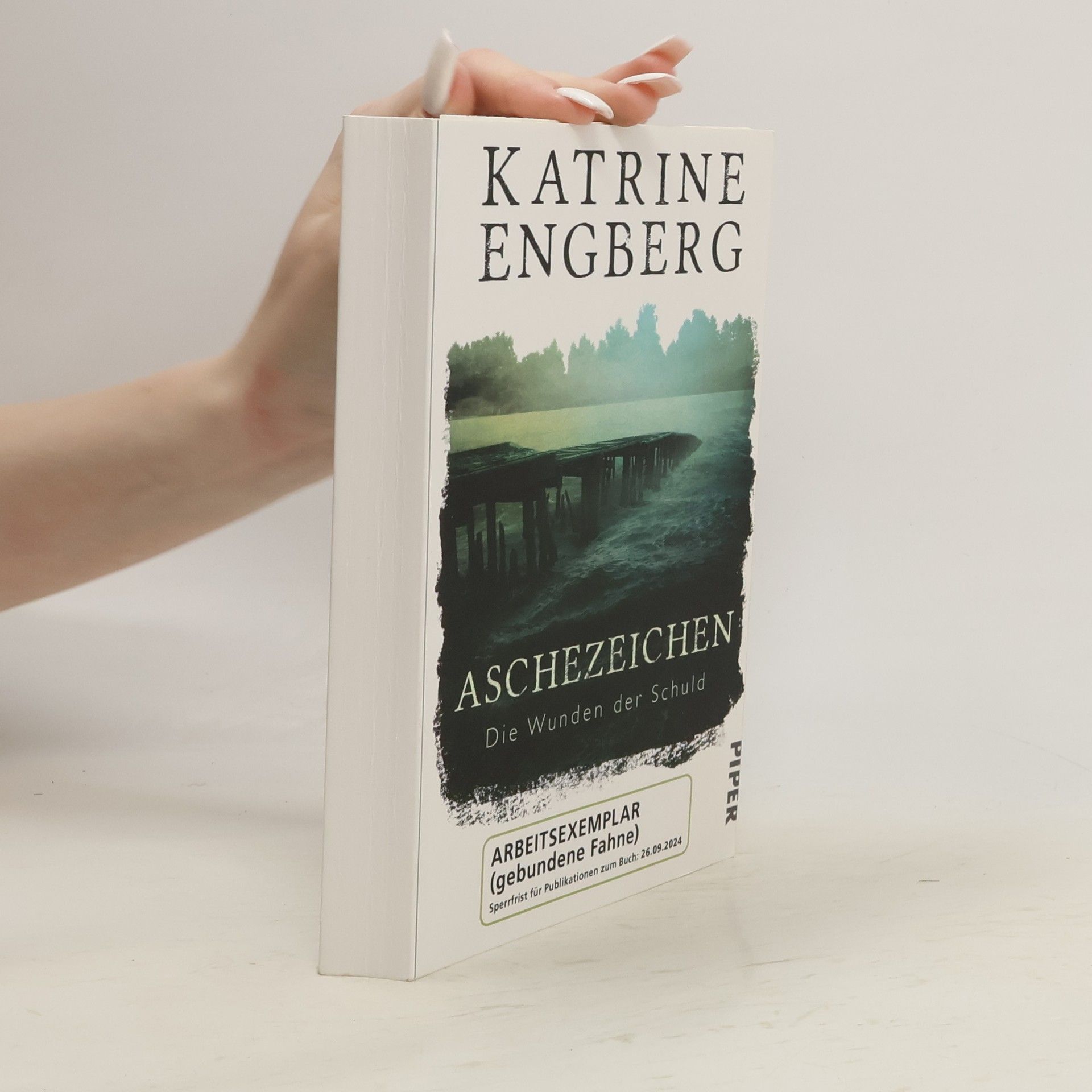 Katrine Engberg Aschezeichen