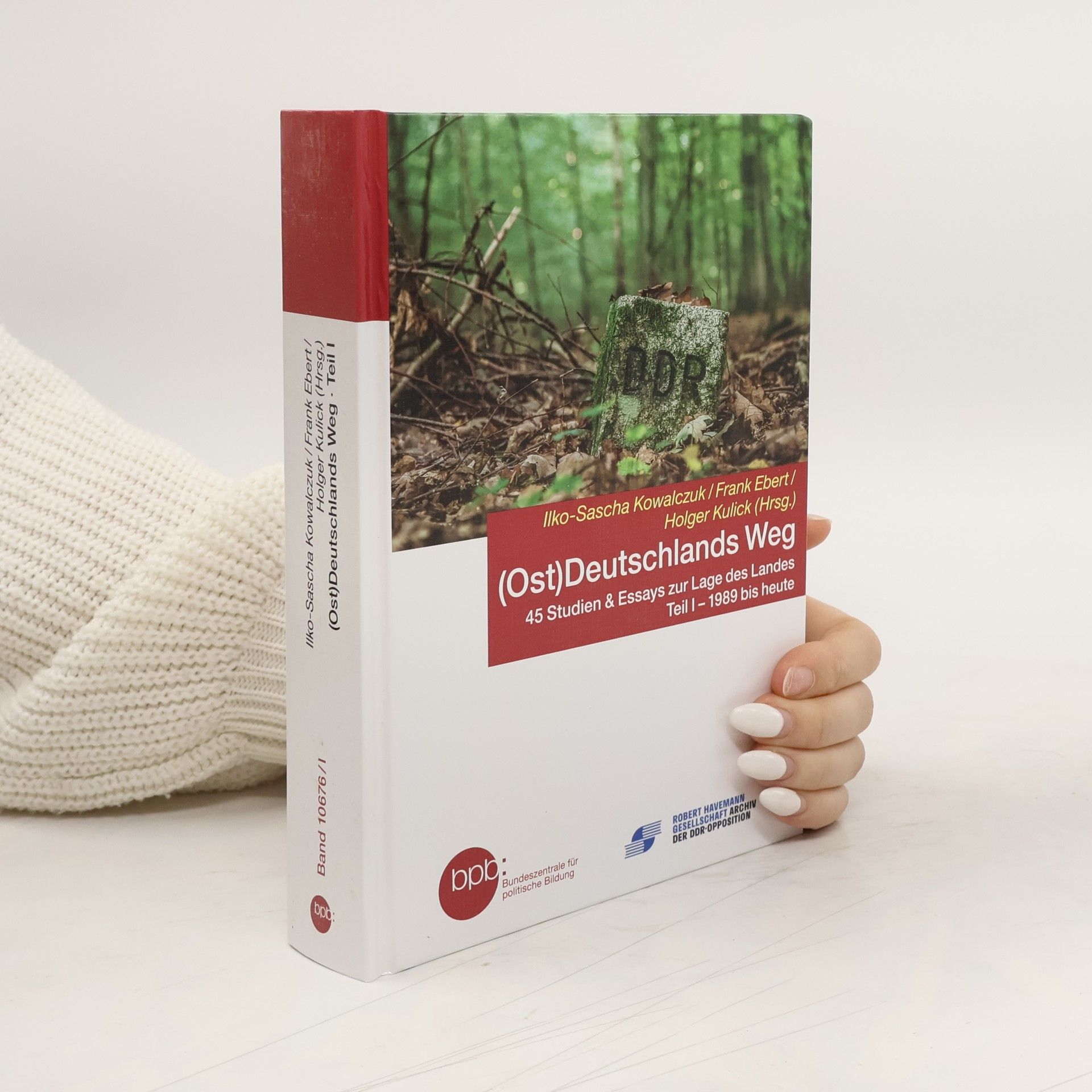 (Ost)Deutschlands Weg : 45 Studien & Essays zur Lage des Landes. Teil I., 1989 bis heute