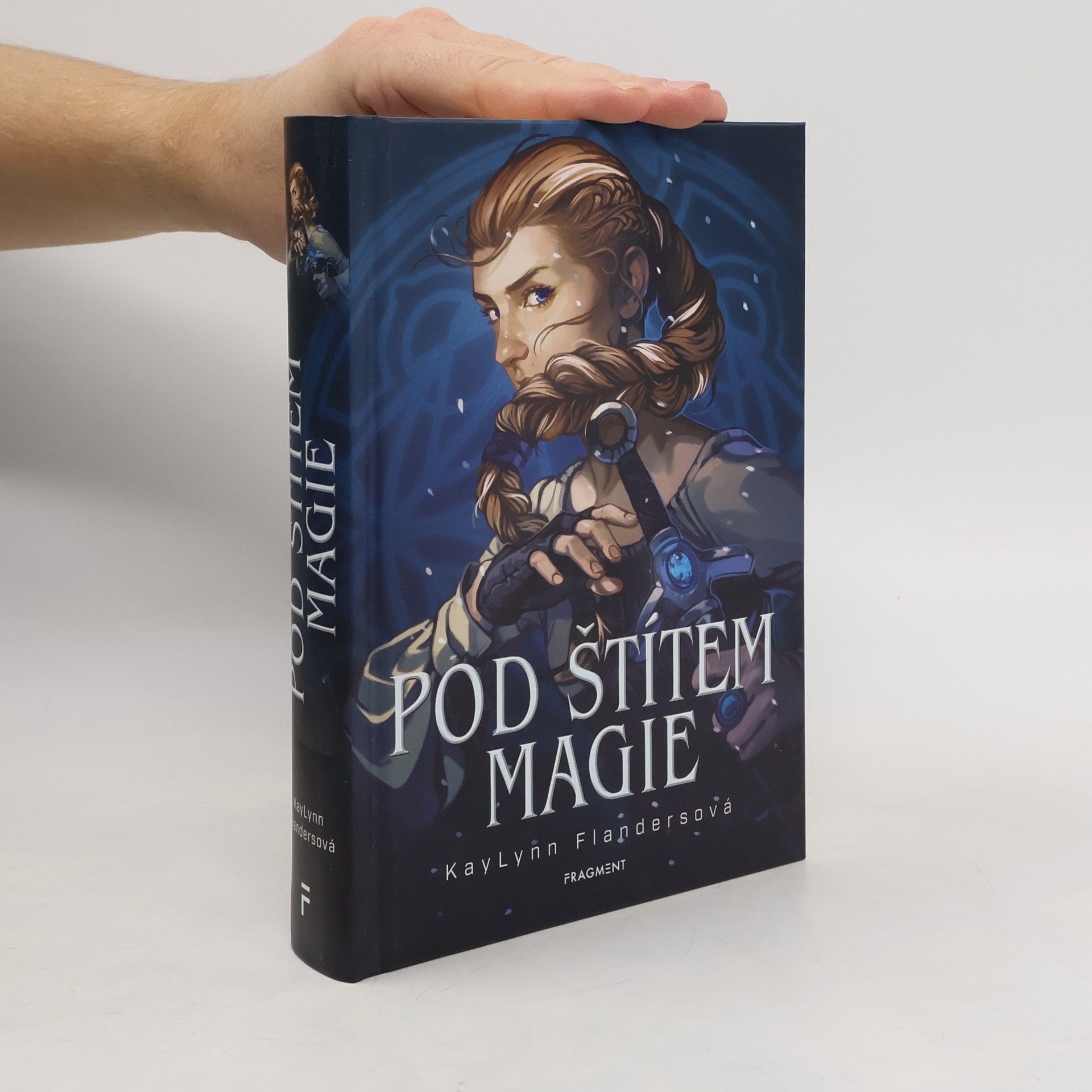 KayLynn Flanders Pod štítem magie