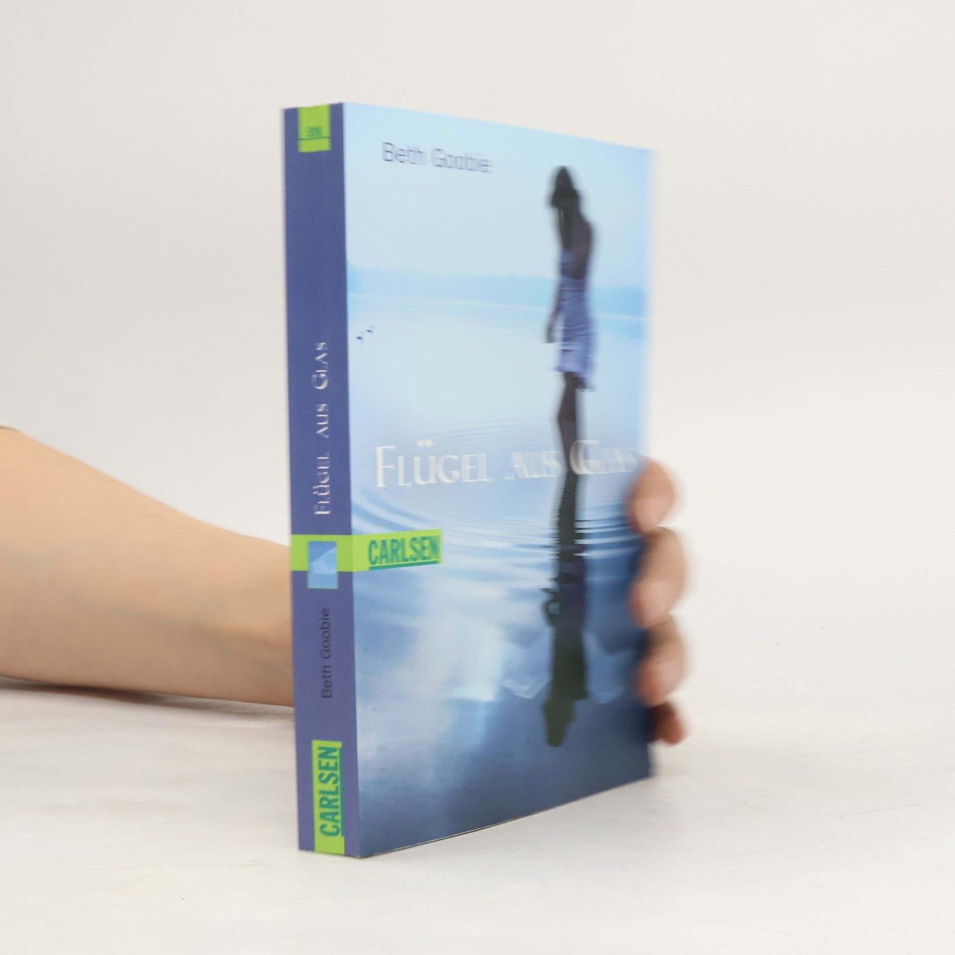 Beth Goobie Flügel aus Glas