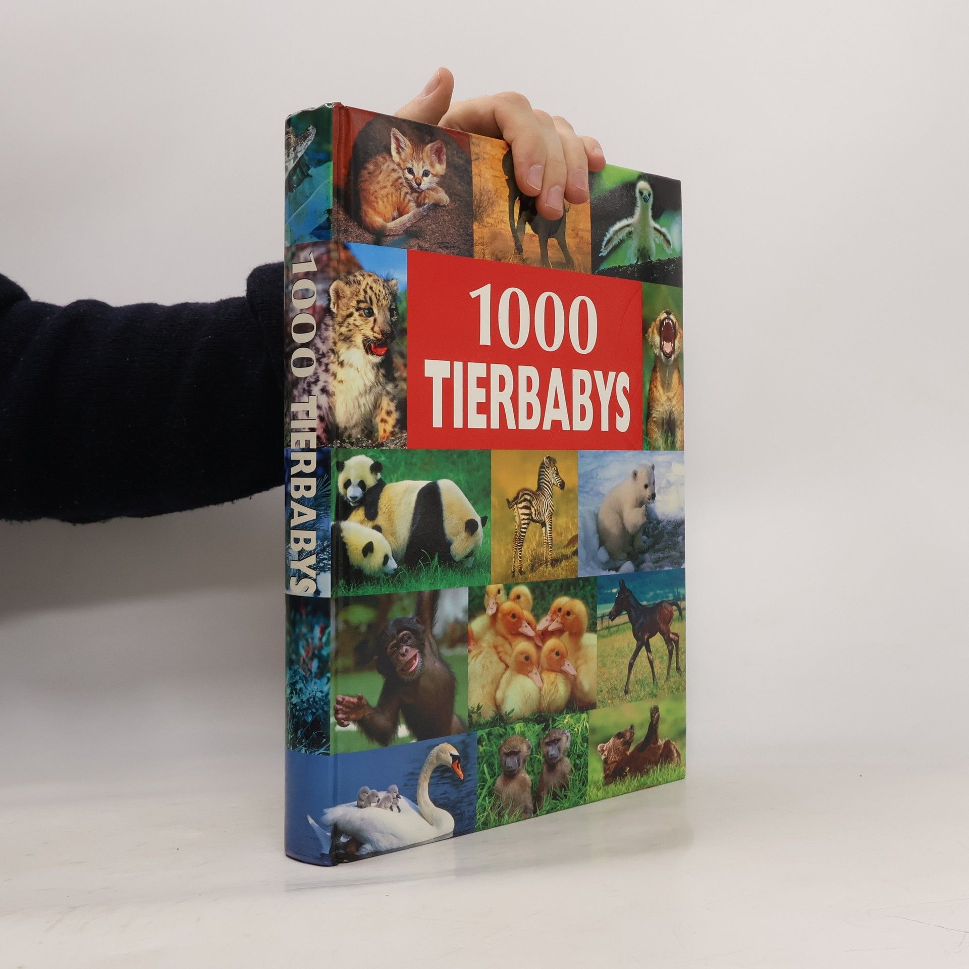 Ulrike Schöber 1000 Tierbabys