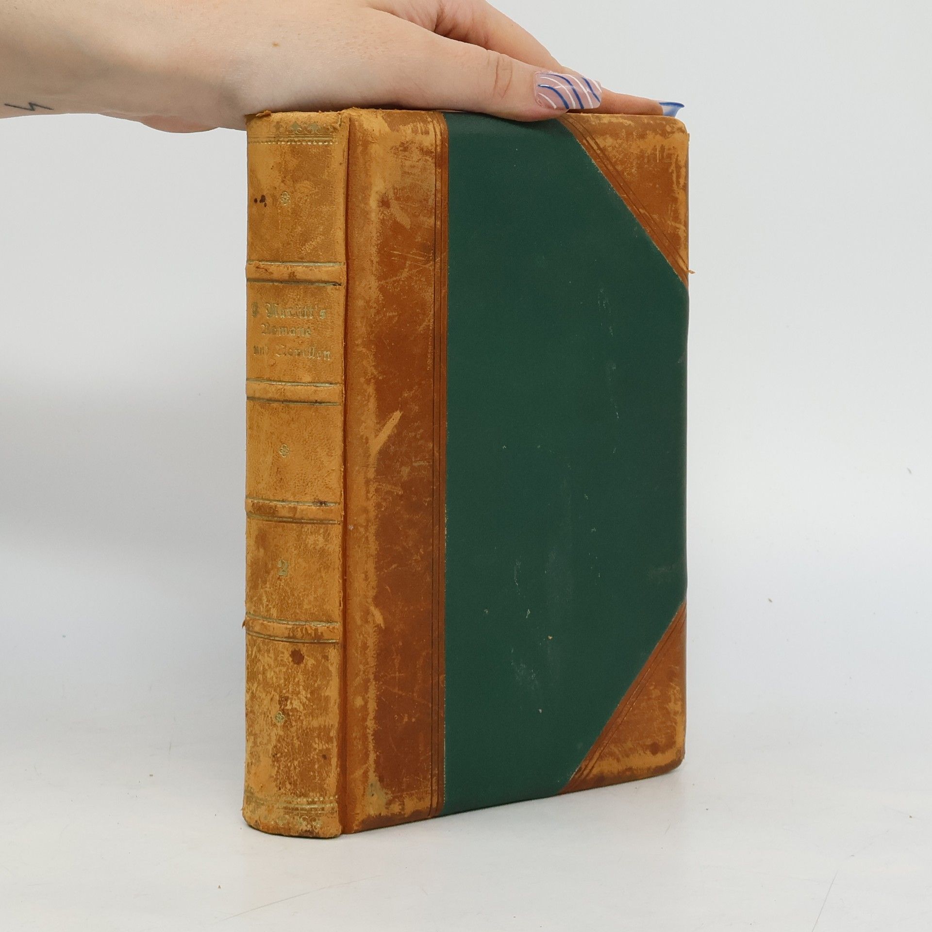 Eugenie Marlitt Das Heideprinzesschen