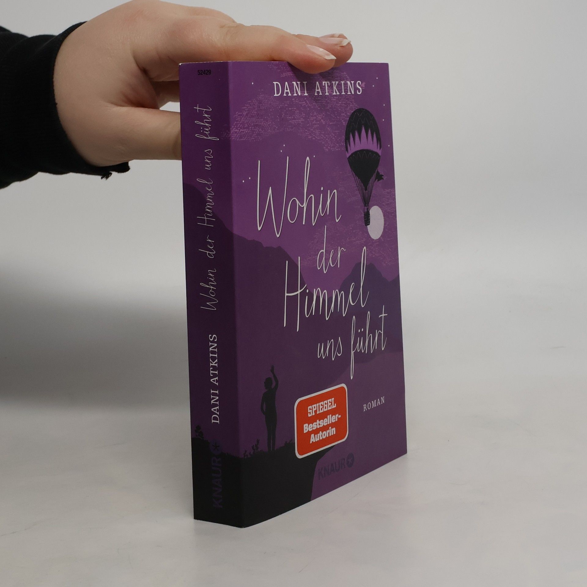 Dani Atkins Wohin der Himmel uns führt