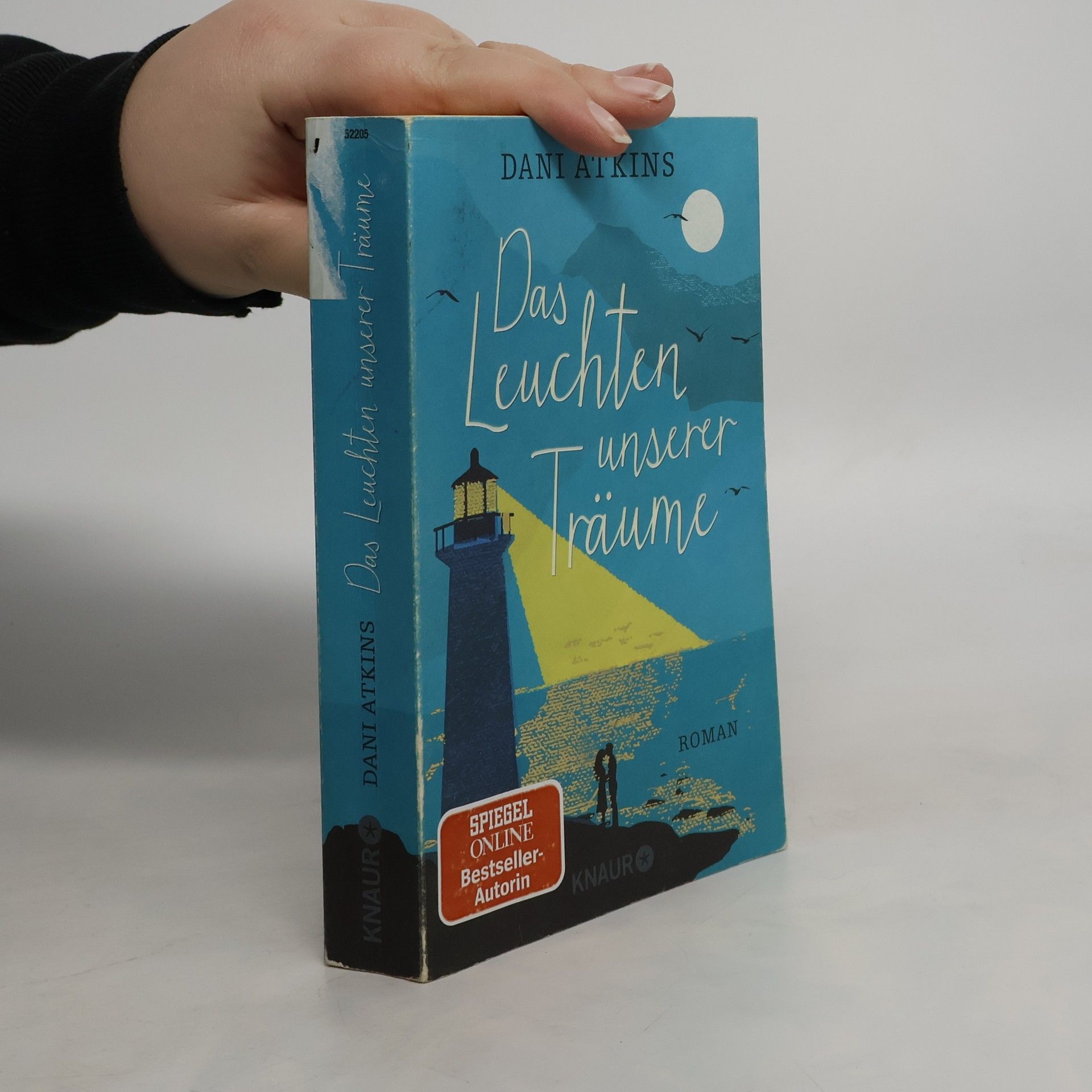Dani Atkins Das Leuchten unserer Träume