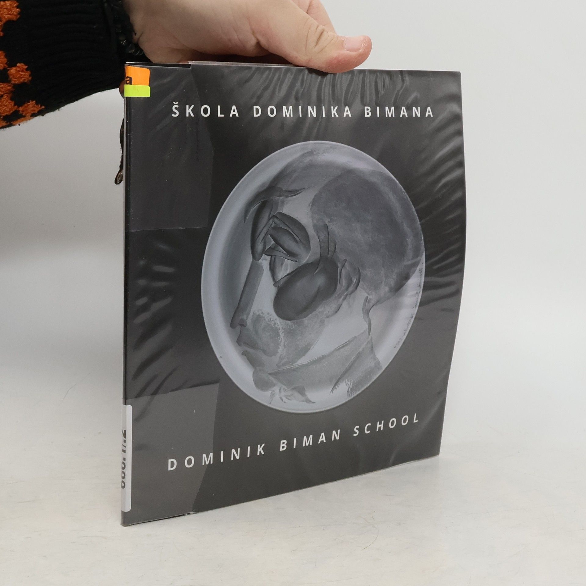 Martina Matoušková Škola Dominika Bimana. Dominik Biman School