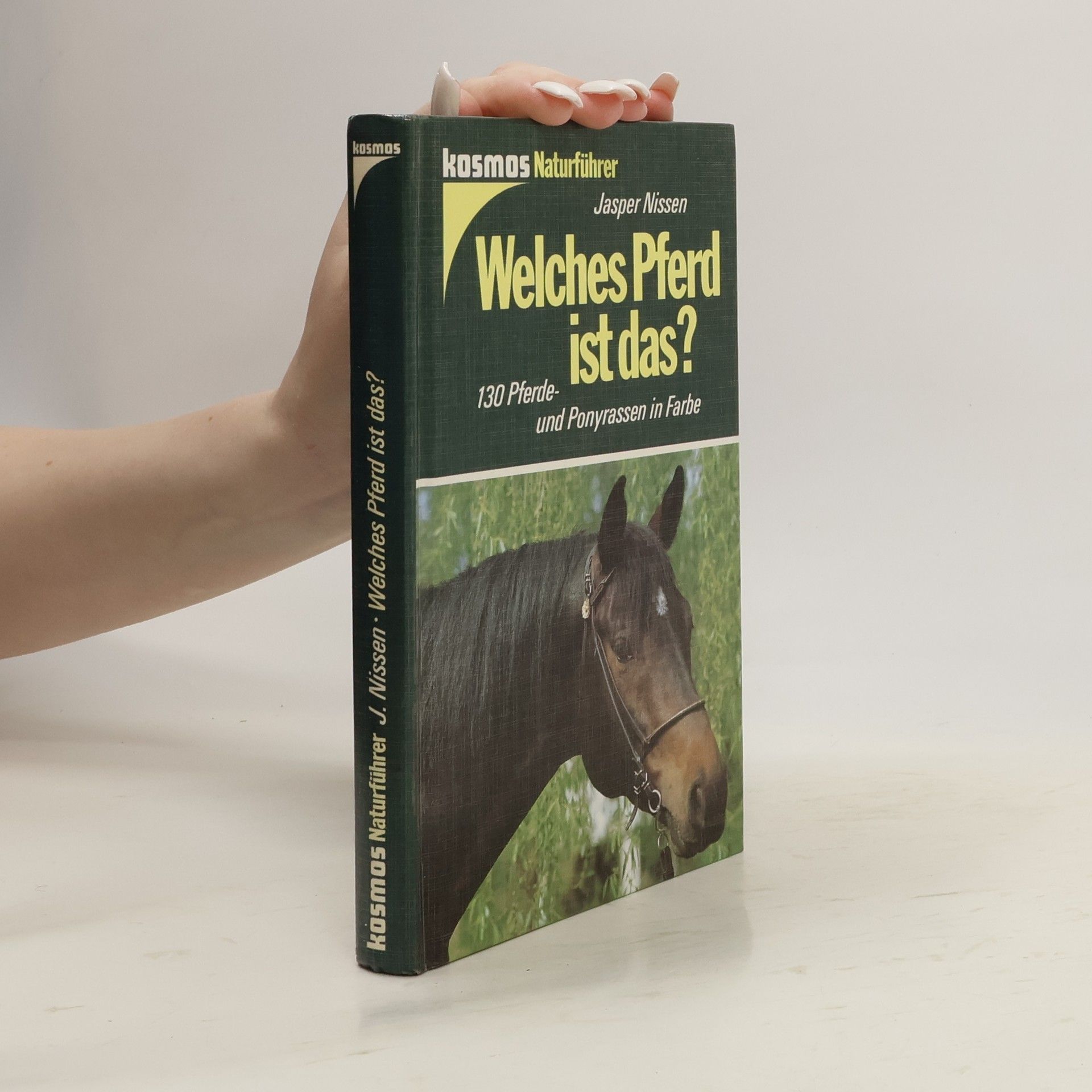 Jasper Nissen Welches Pferd ist das?