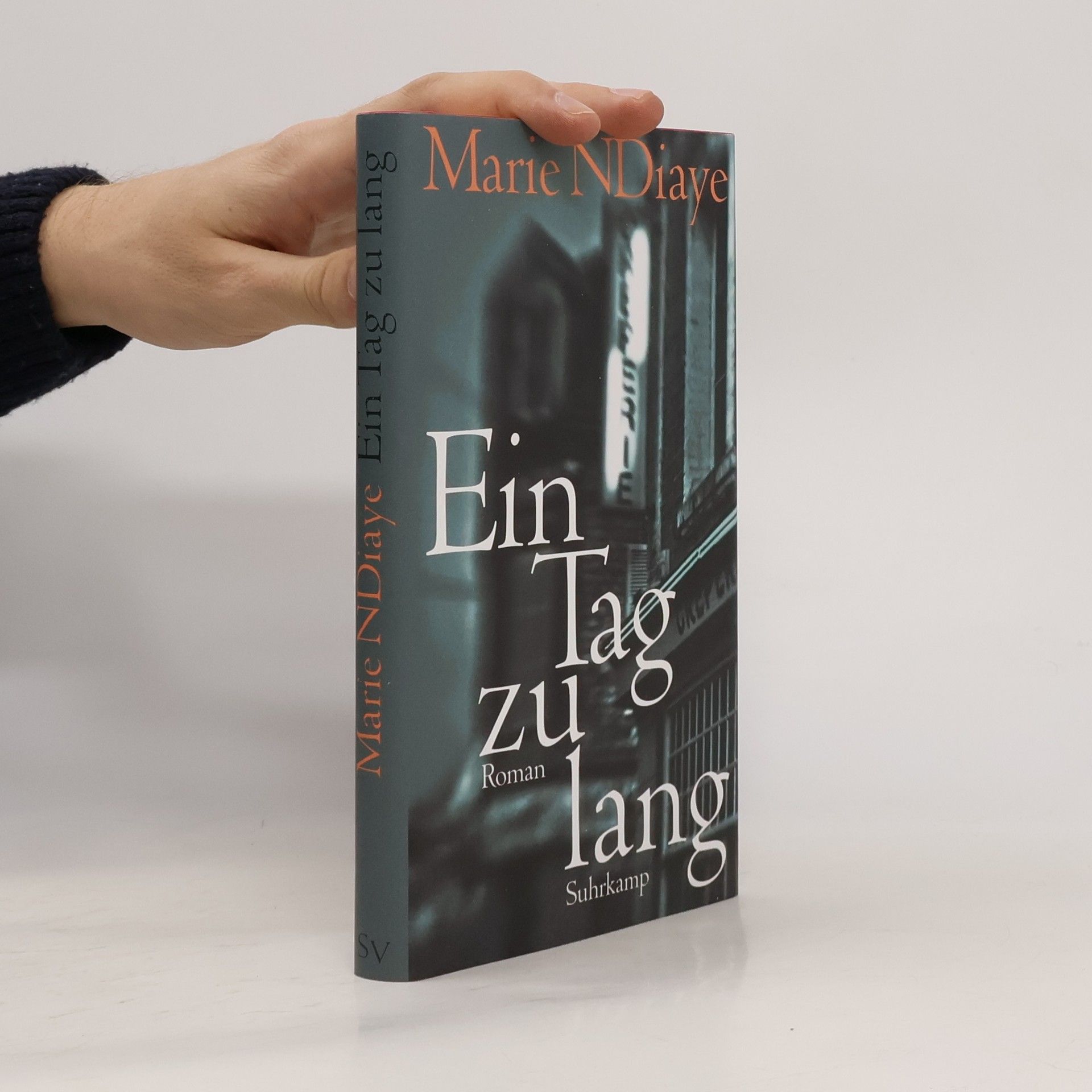 Marie NDiaye Ein Tag zu lang