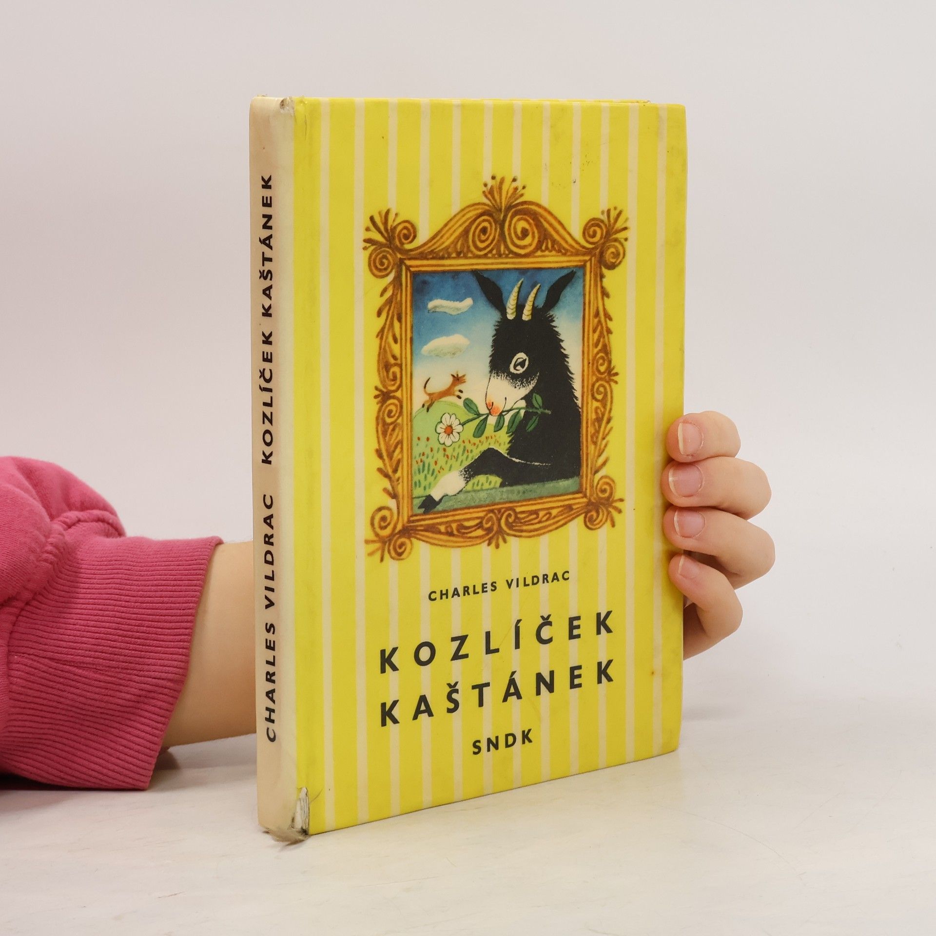 Kozlíček Kaštánek