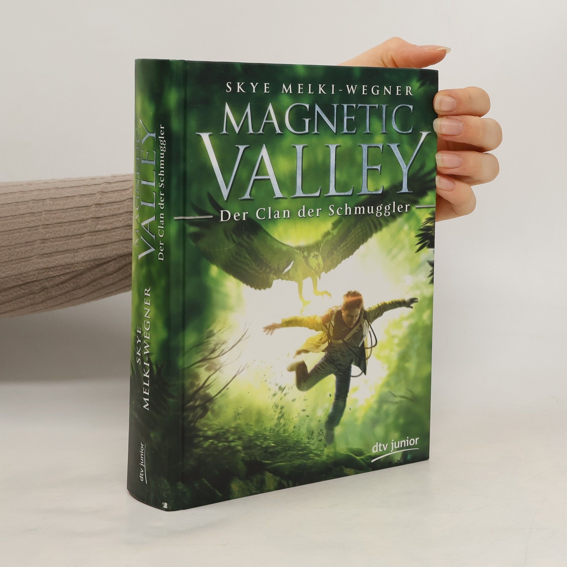 Skye Melki Wegner Magnetic Valley - Der Clan der Schmuggler