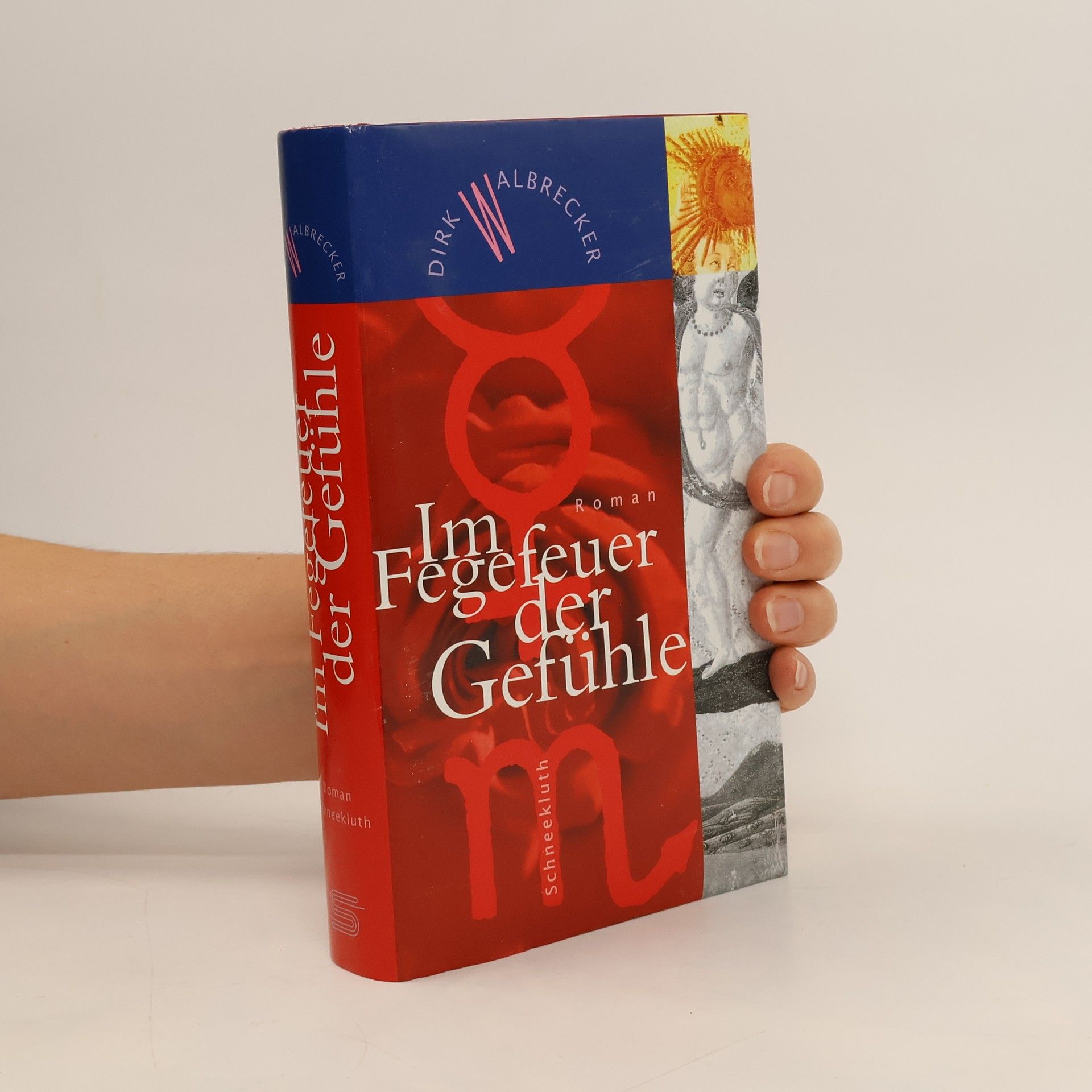 Dirk Walbrecker Im Fegefeuer der Gefühle