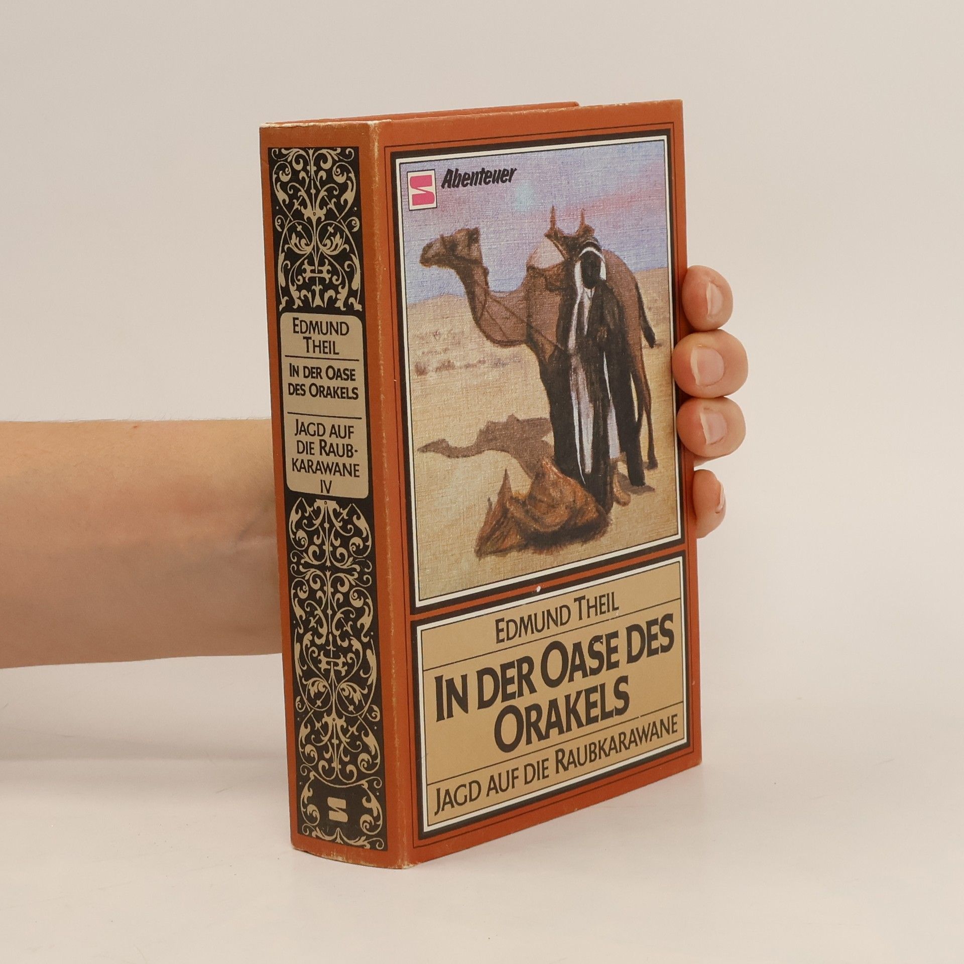 Edmund Theil Jagd auf die Raubkarawane