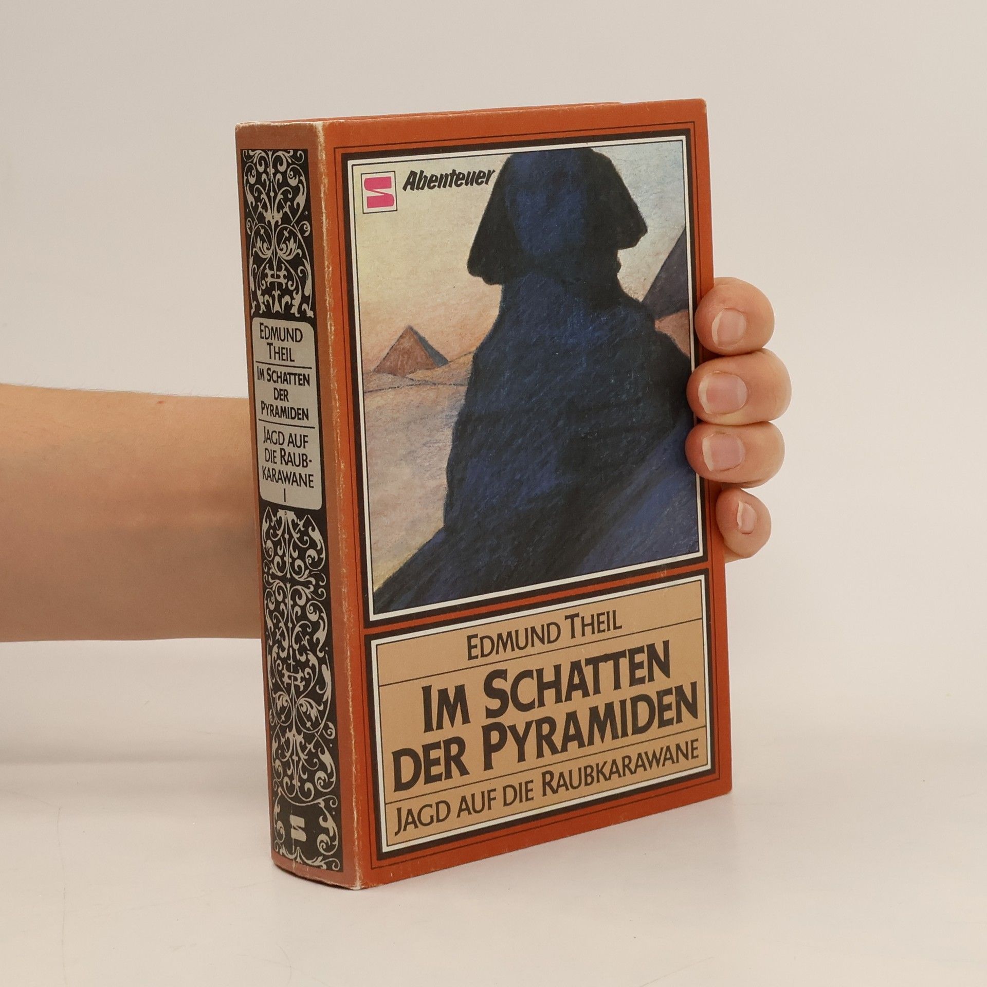 Im Schatten der Pyramiden