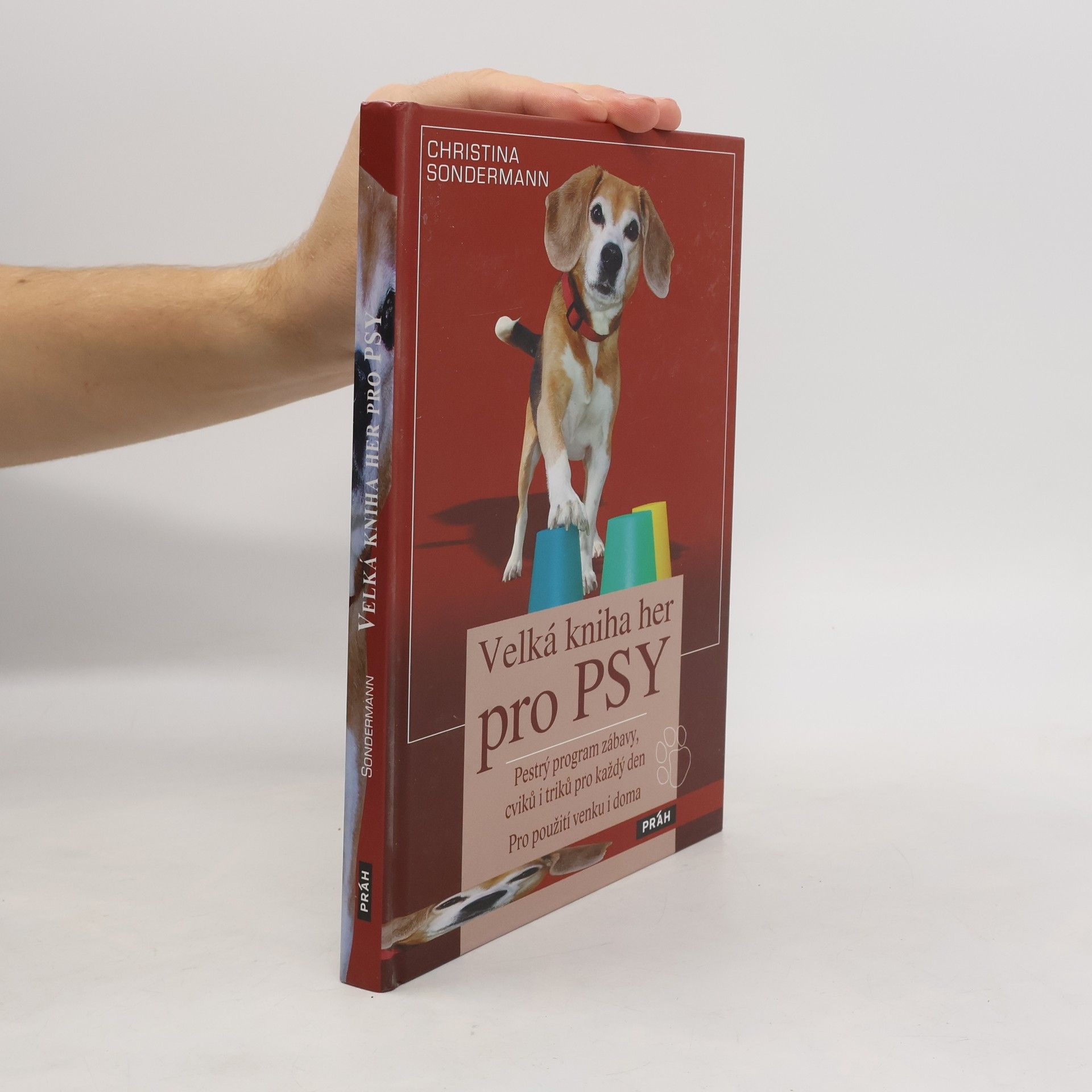 Christina Sondermann Velká kniha her pro psy: Pestrý program zábavy, cviků i triků pro každý den