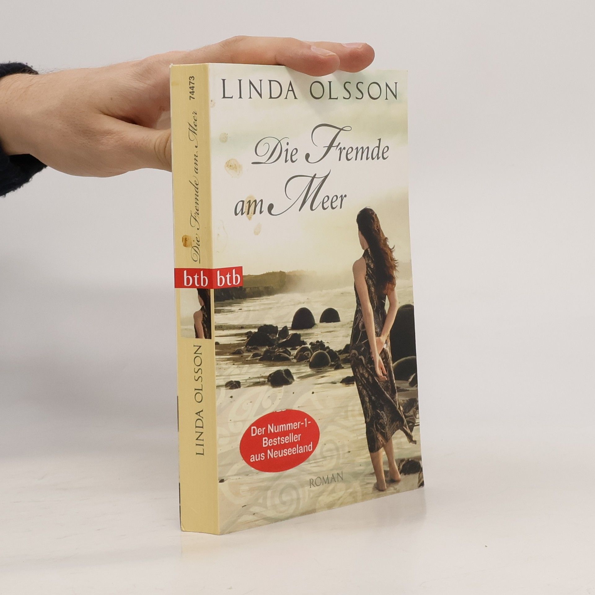 Linda Olsson Die Fremde am Meer