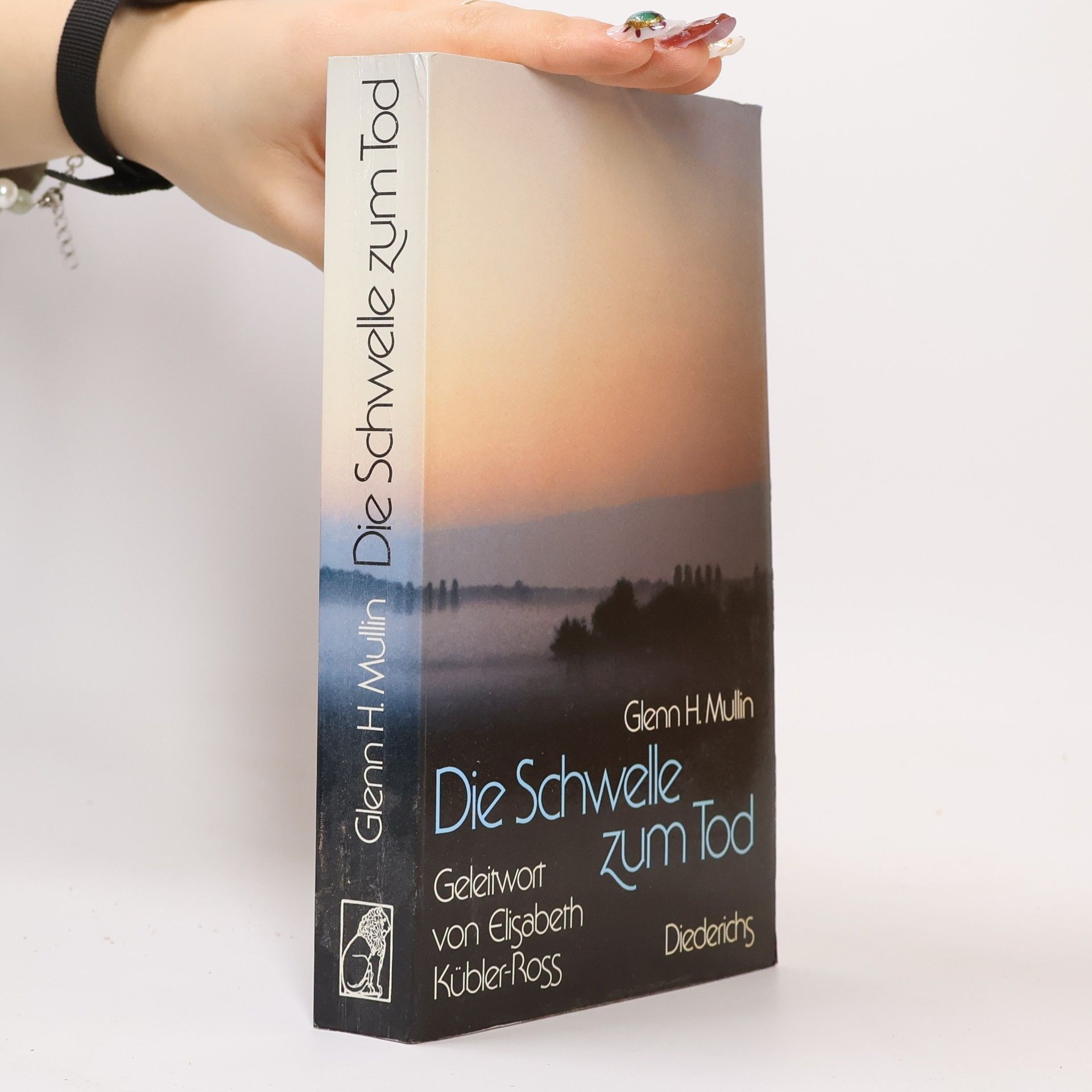 Glenn H. Mullin Die Schwelle zum Tod
