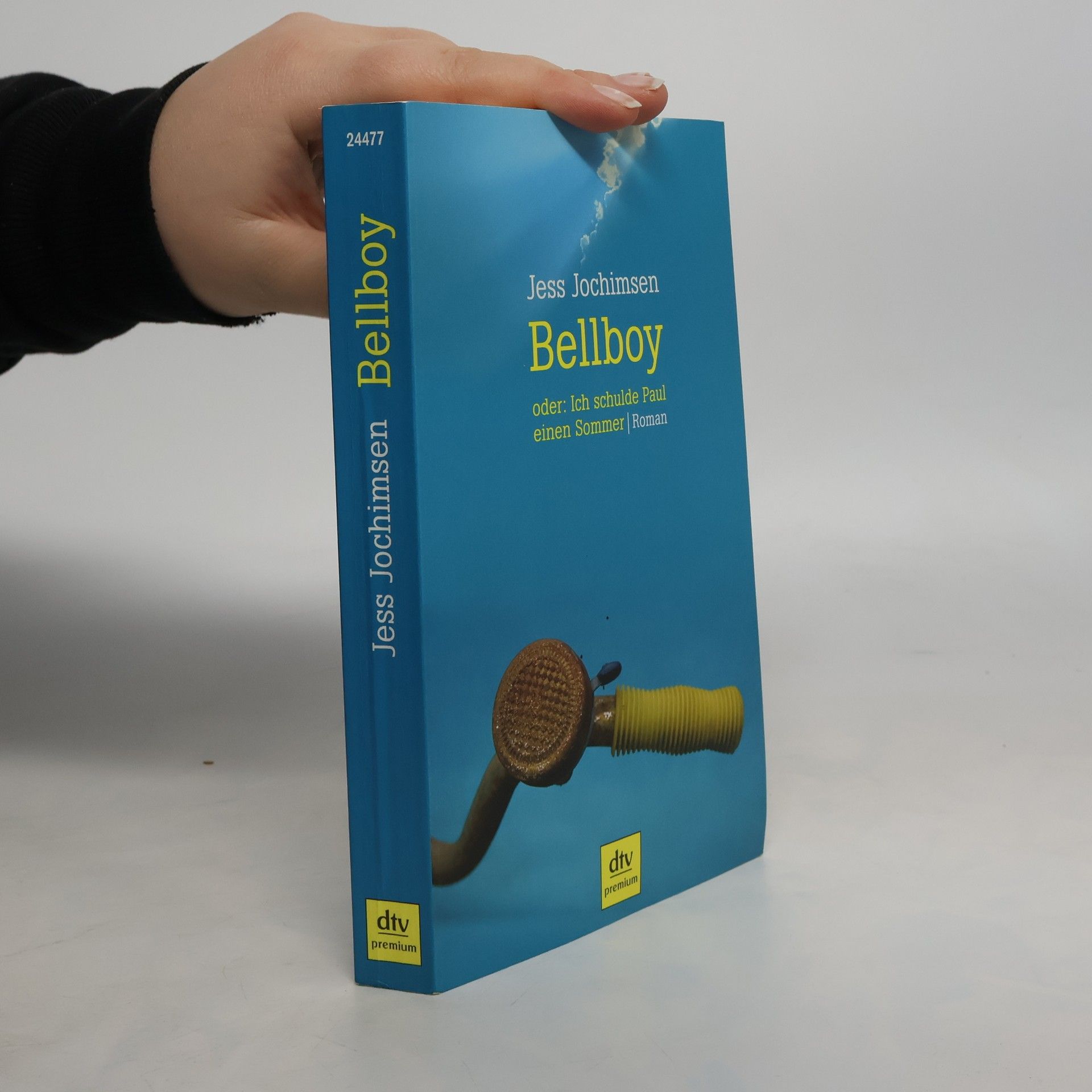 Jess Jochimsen Bellboy oder: ich schulde Paul einen Sommer