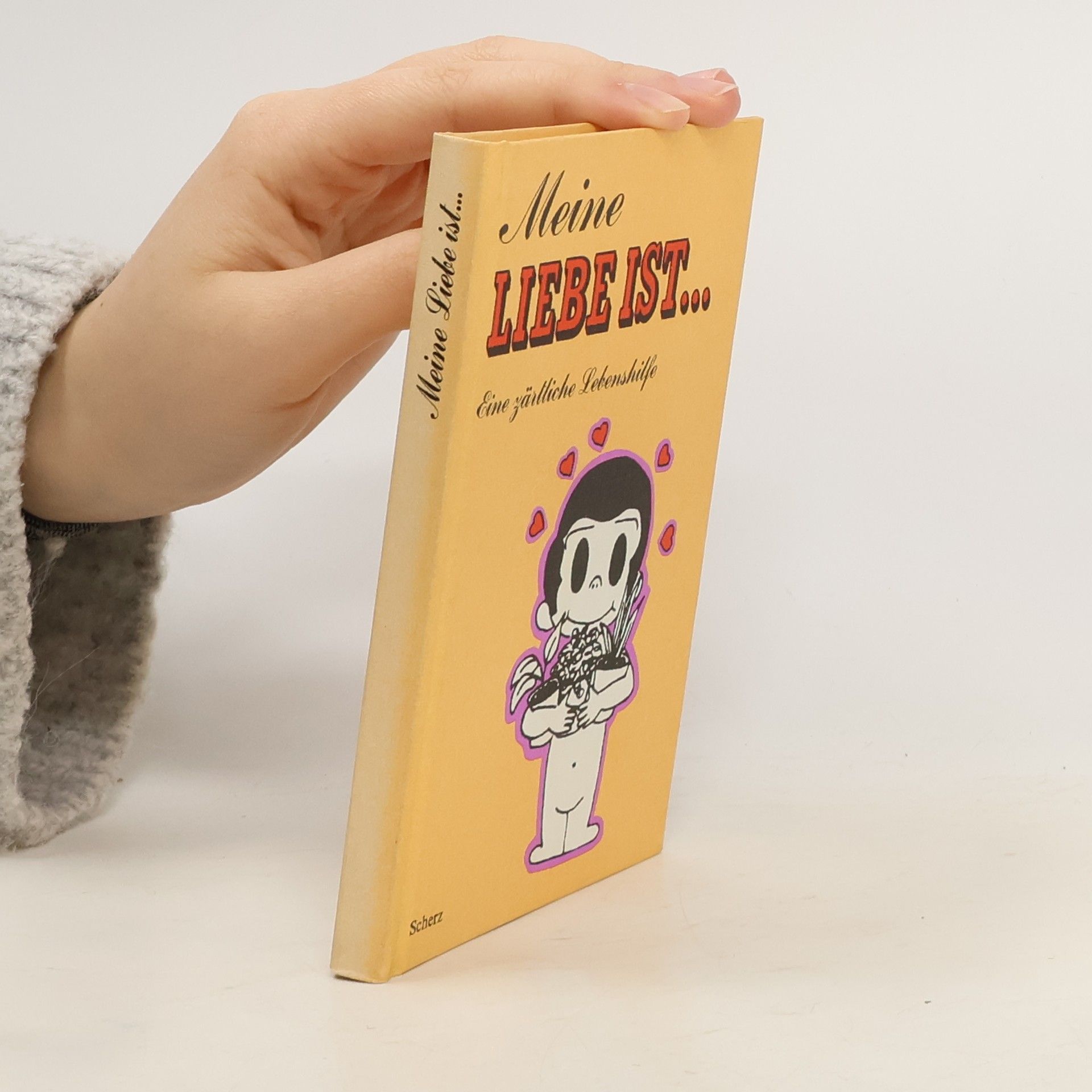 Autorenkollektiv Meine liebe ist...