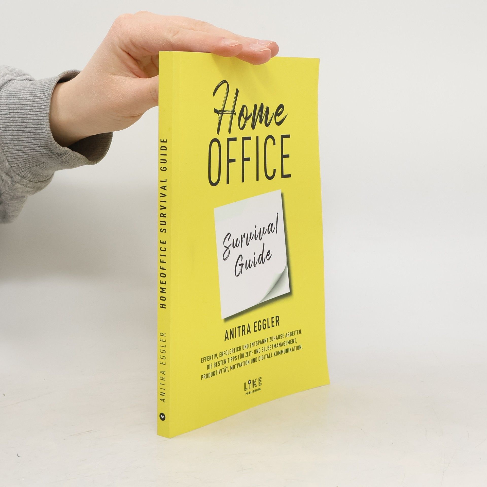 Home Office Survival Guide